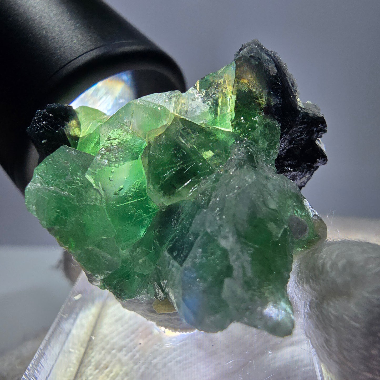 Fluorite fantôme, tourmaline Schörl, muscovite, hyalite, stade Erongo, Namibie 27*25*20 mm