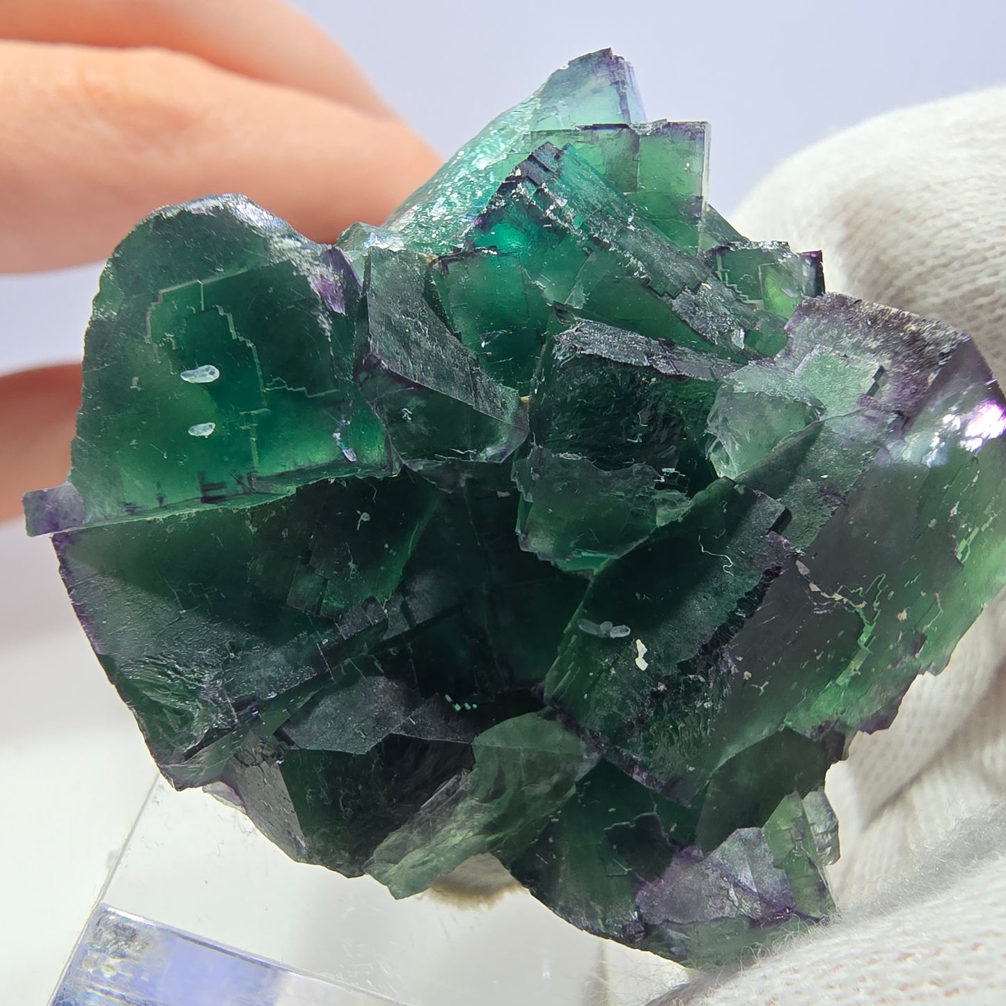 Phantom Fluorit Würfel Stufe parkettiert zonal Okorusu, Namibia 50*40*28mm