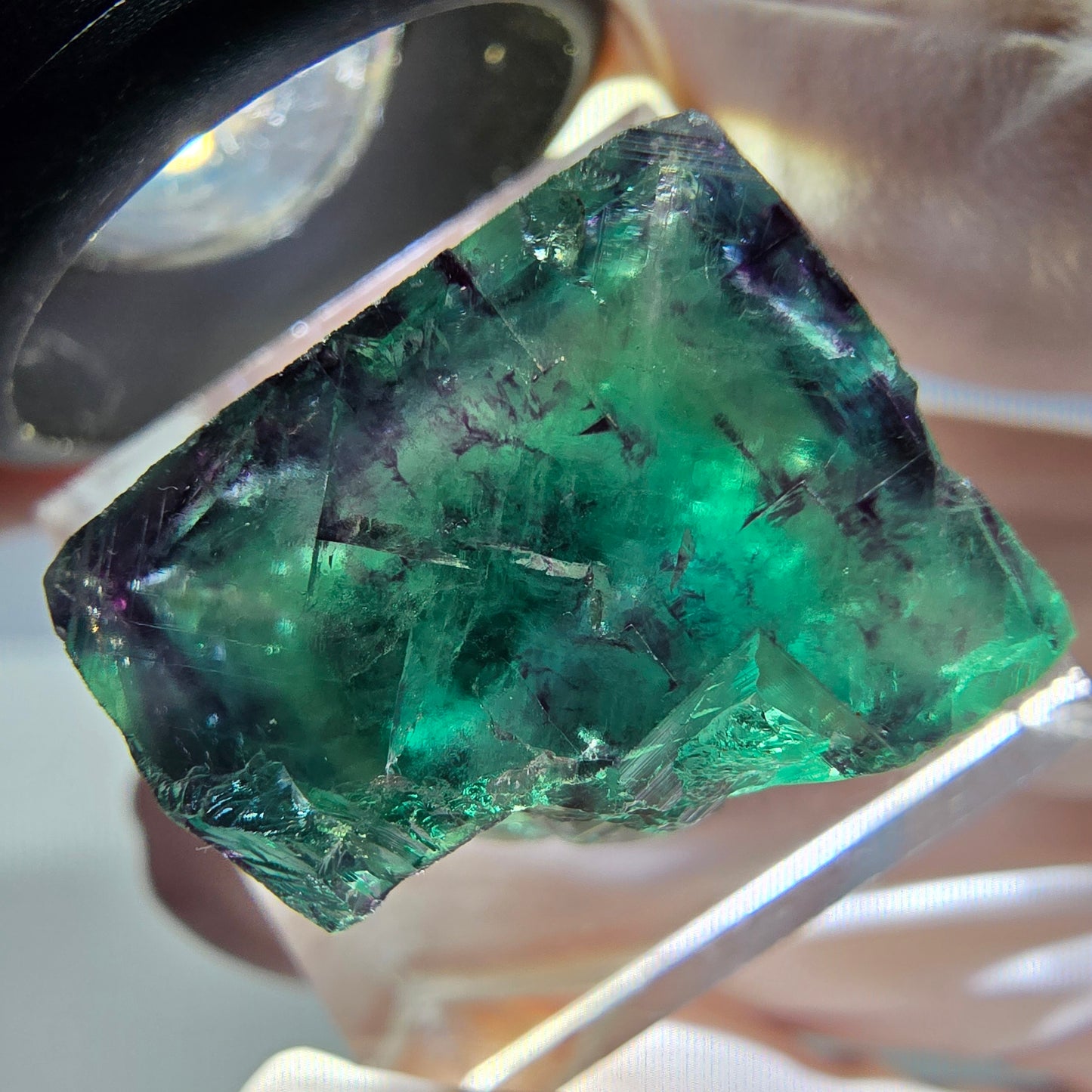 Phantom Fluorit Würfel Stufe, parkettiert grün lila Okorusu, Namibia 18*17*14mm