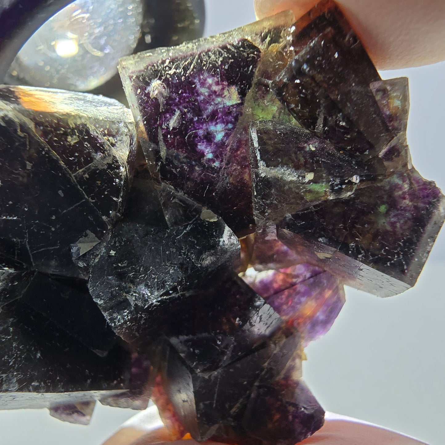Rare spécimen de cube de fluorite fantôme, vert violet jaune Okorusu, Namibie 48 x 39 x 14 mm
