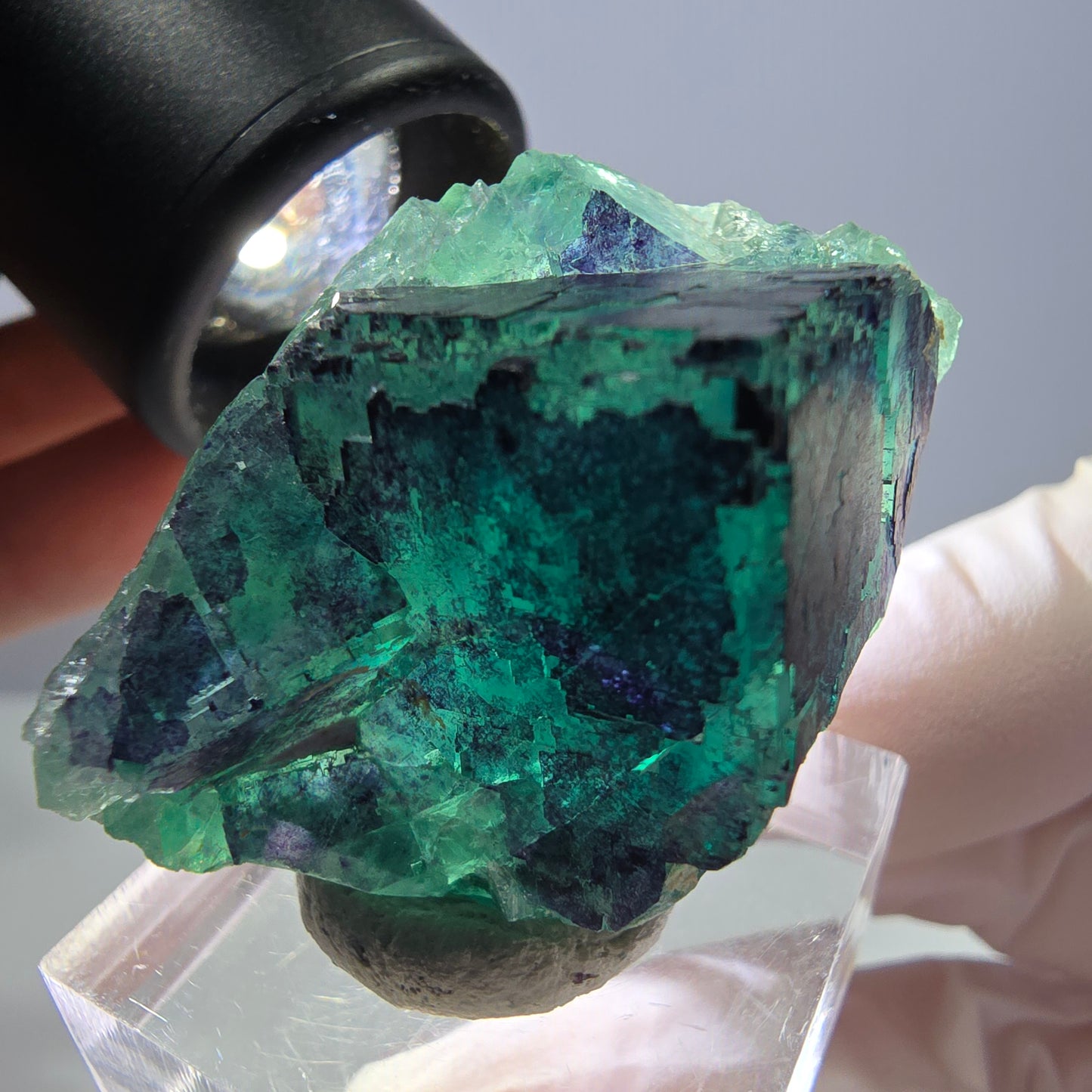 Phantom Fluorit Würfel Stufe grün lila zonal 11:11 Angel Pocket, Namibia 35*28*22mm