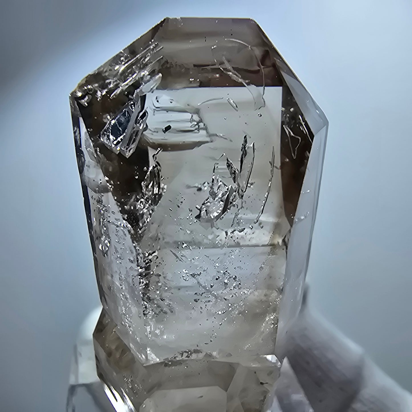 Pointe de sceptre en quartz fumé fantôme transparent, Goboboseb, Namibie, 44 x 21 x 18 mm