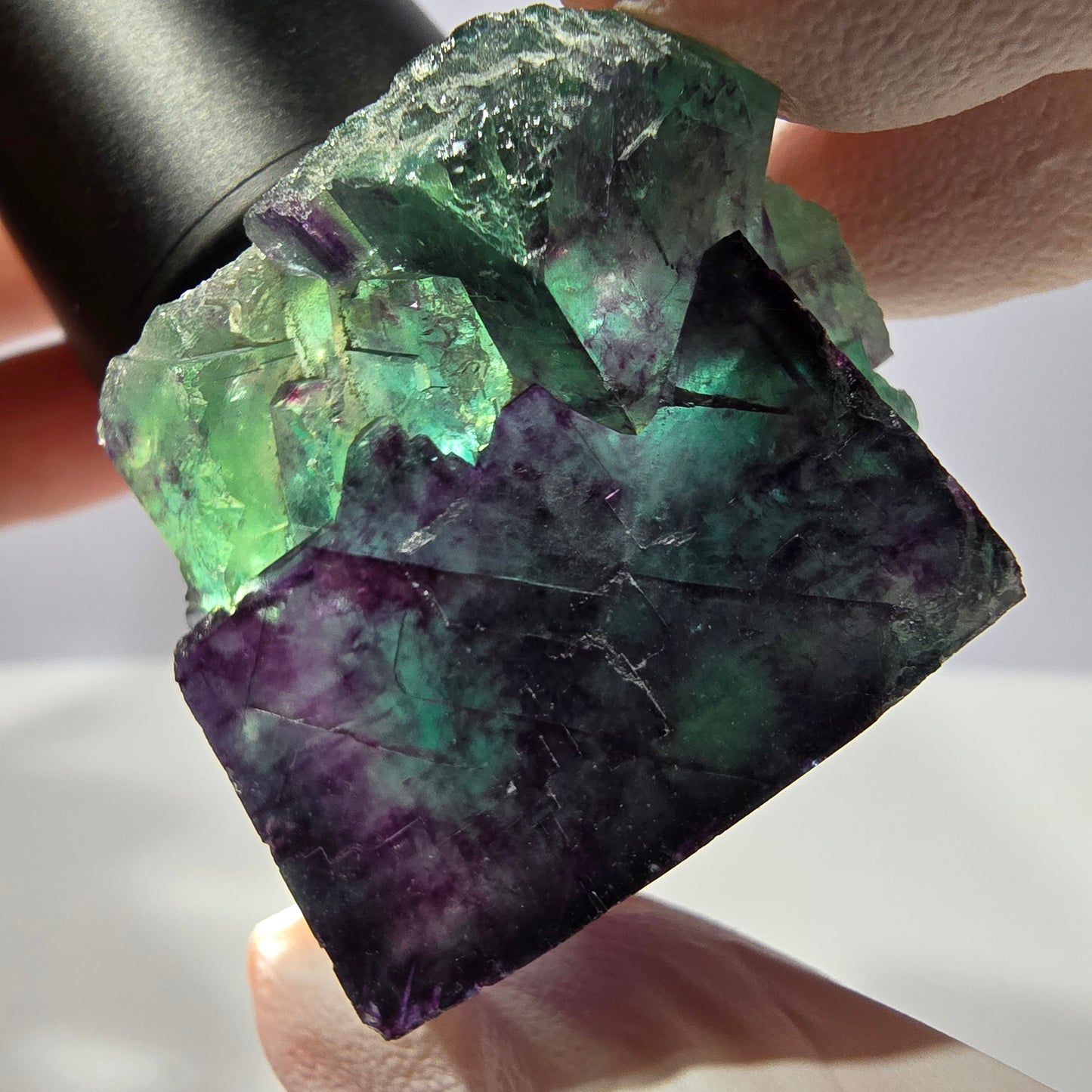 Spécimen de cube de fluorite fantôme, parqueté vert violet Okorusu, Namibie 36*31*29 mm