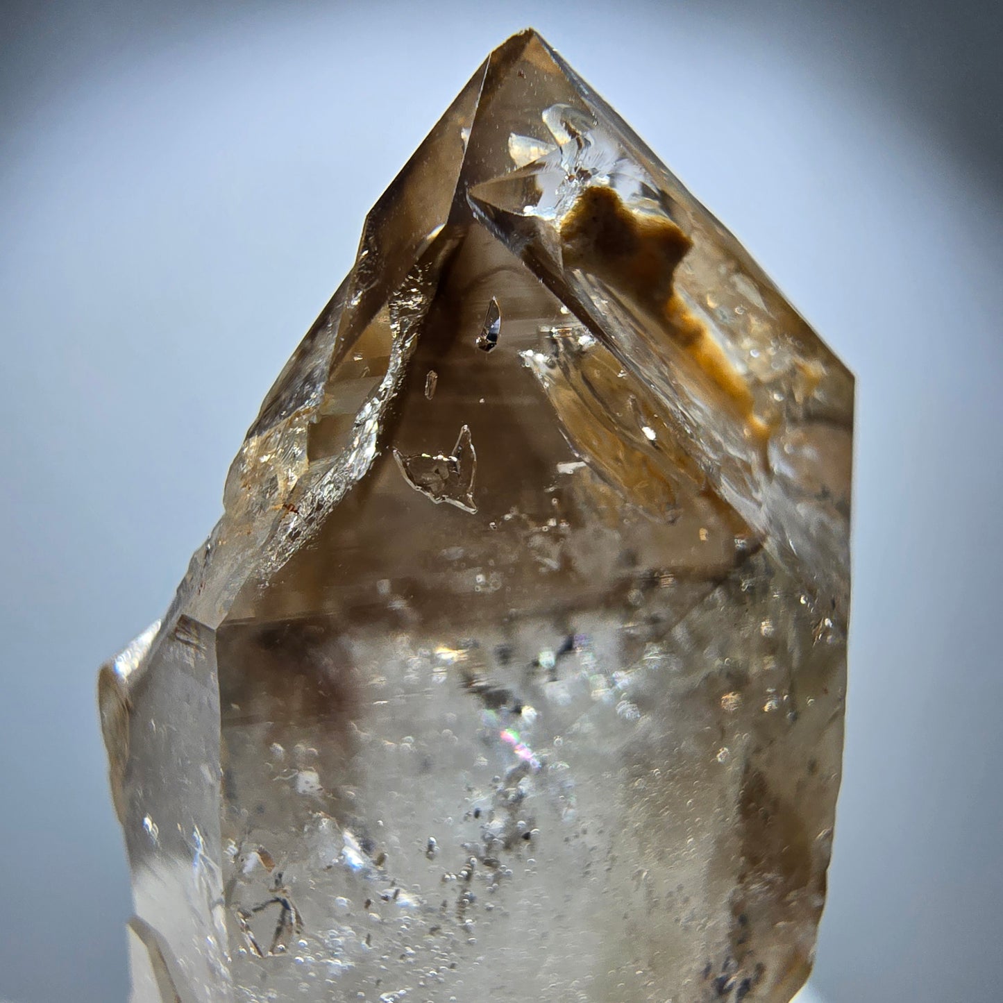 Enhydro Phantom Rauchquarz Fenster DT Zepter Goboboseb, Namibia 41*22*17mm