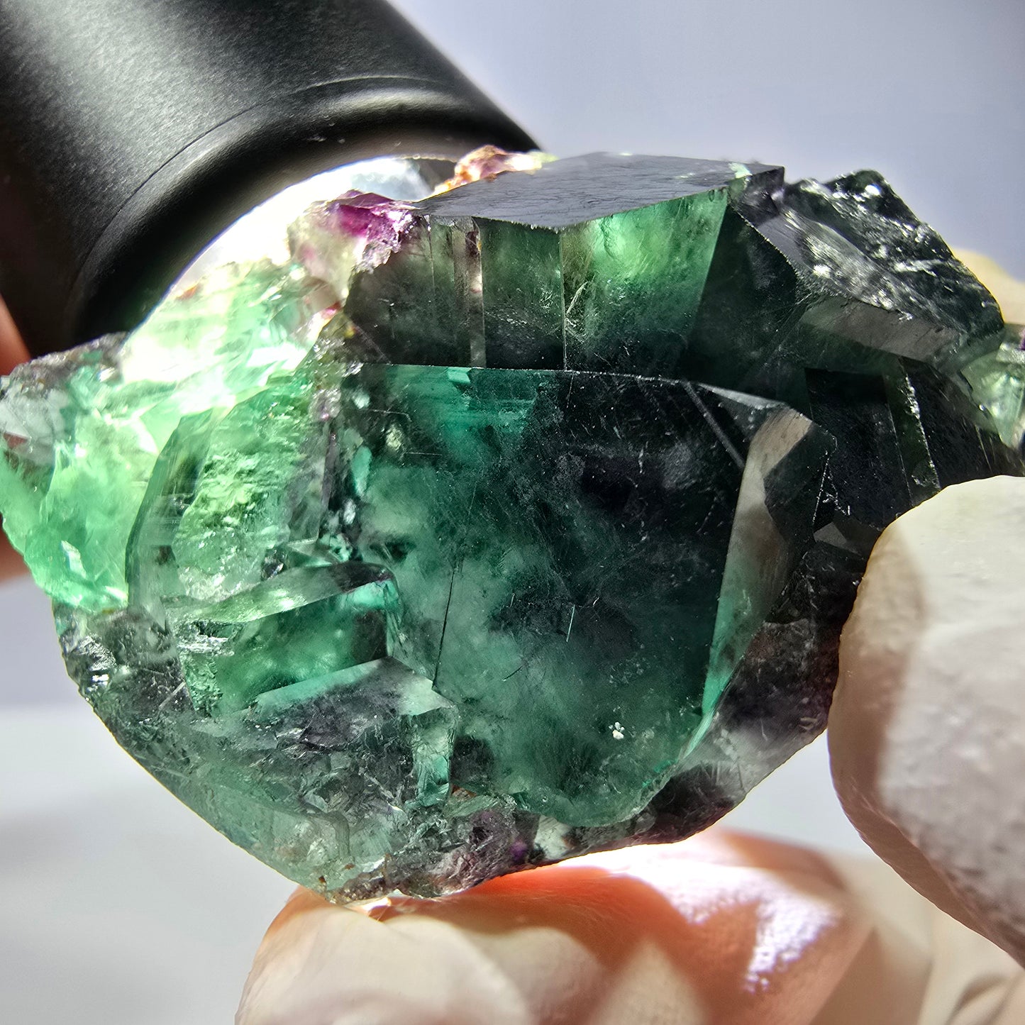 Spécimen de cube de fluorite fantôme, parqueté vert violet Okorusu, Namibie 49*31*21 mm