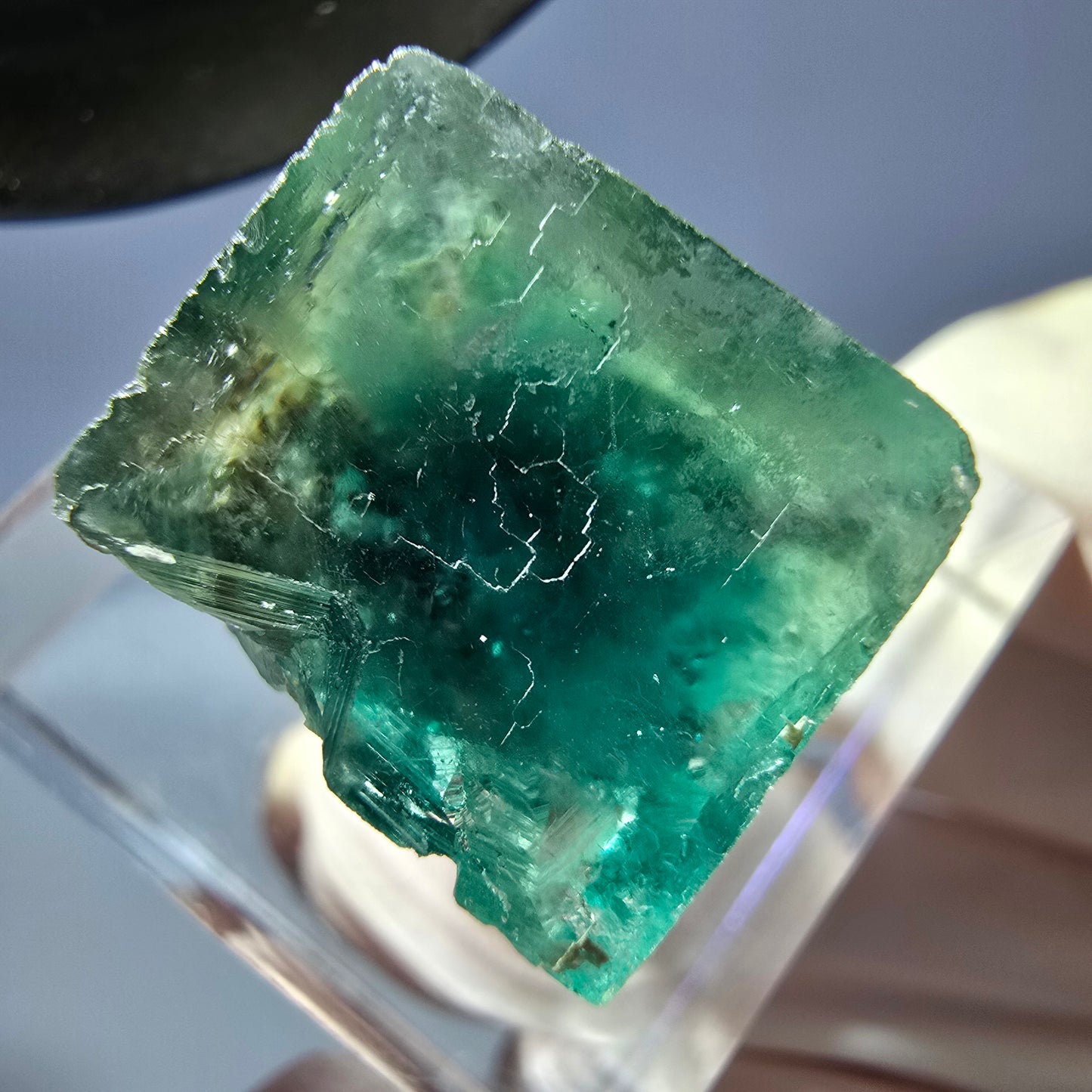 Cube de fluorite fantôme transparente parquetée, vert Okorusu, Namibie 15 x 15 x 13 mm
