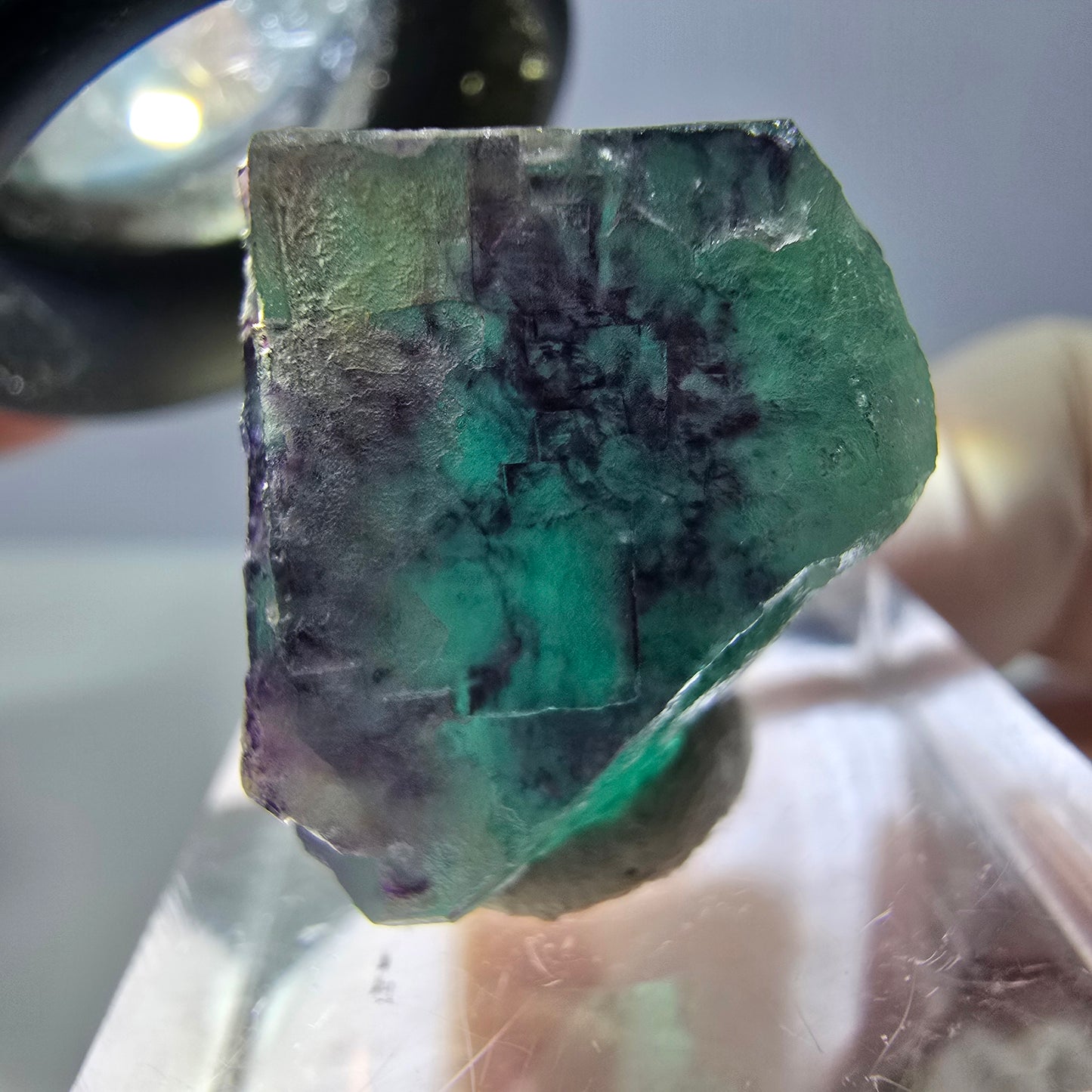 Phantom Fluorit Würfel Stufe, parkettiert grün lila Okorusu, Namibia 21*19*18mm