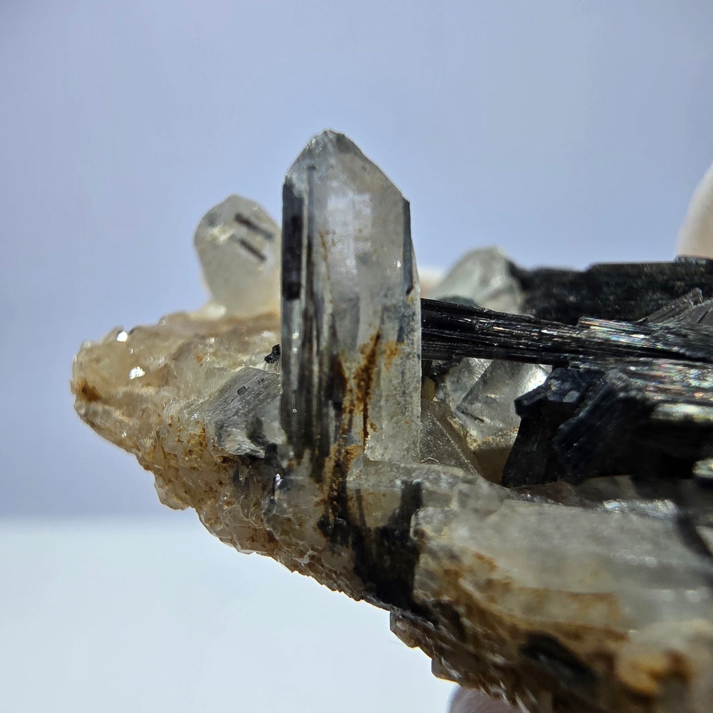 Rare spécimen de tourmaline Schorl et de quartz fumé, Erongo, Namibie, 44 x 24 x 17 mm