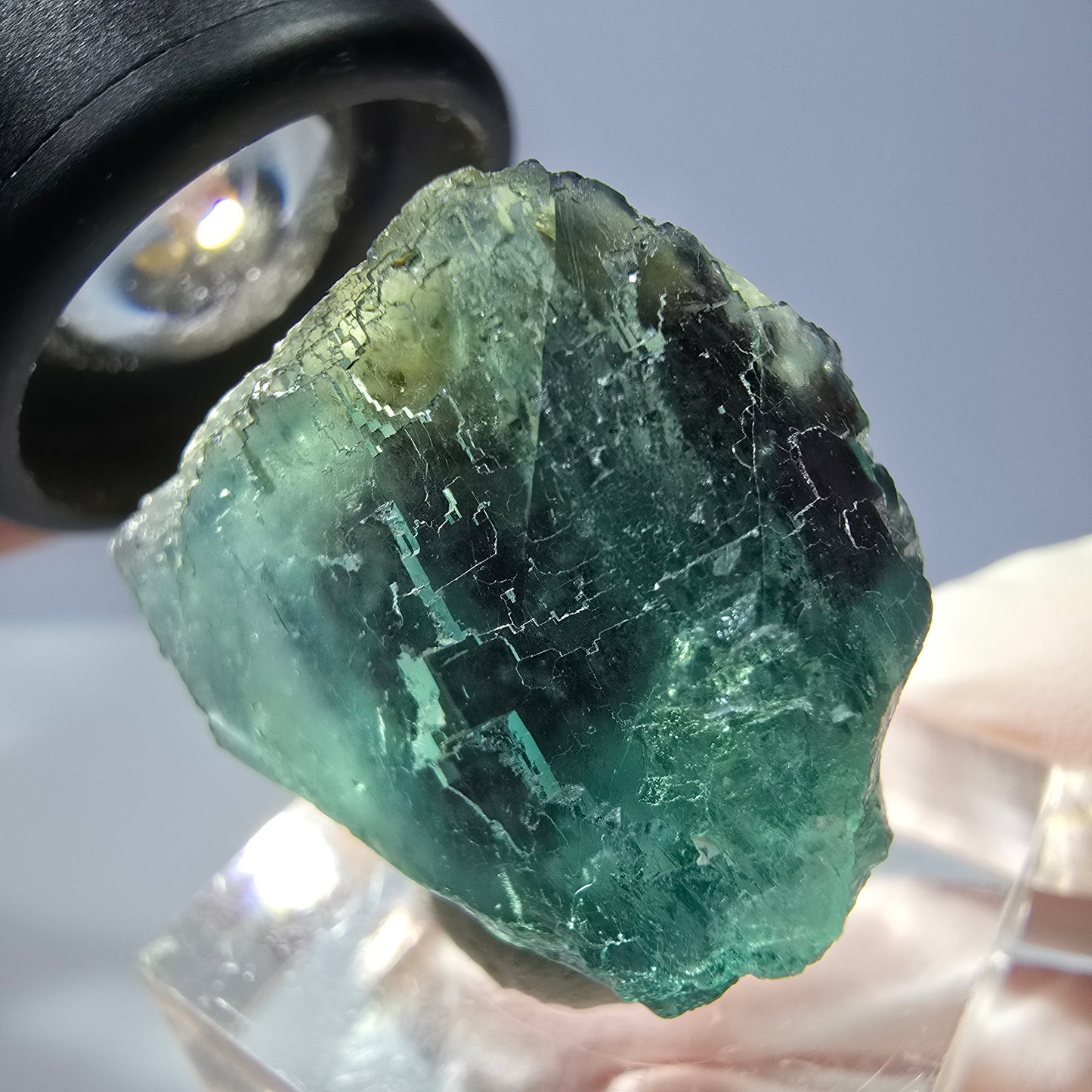Cristal de fluorite fantôme transparent, cube vert-violet, Okorusu, Namibie, 24 x 24 x 20 mm