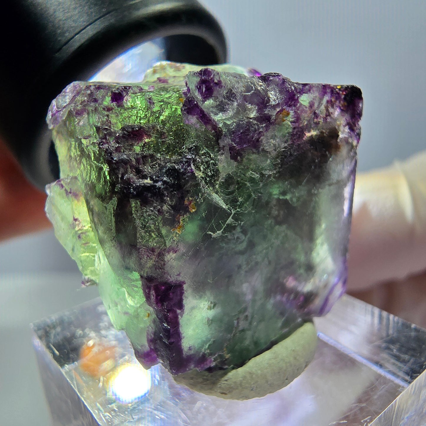 Phantom Fluorit Würfel Stufe, parkettiert, zonal Okorusu, Namibia 24*22*18mm