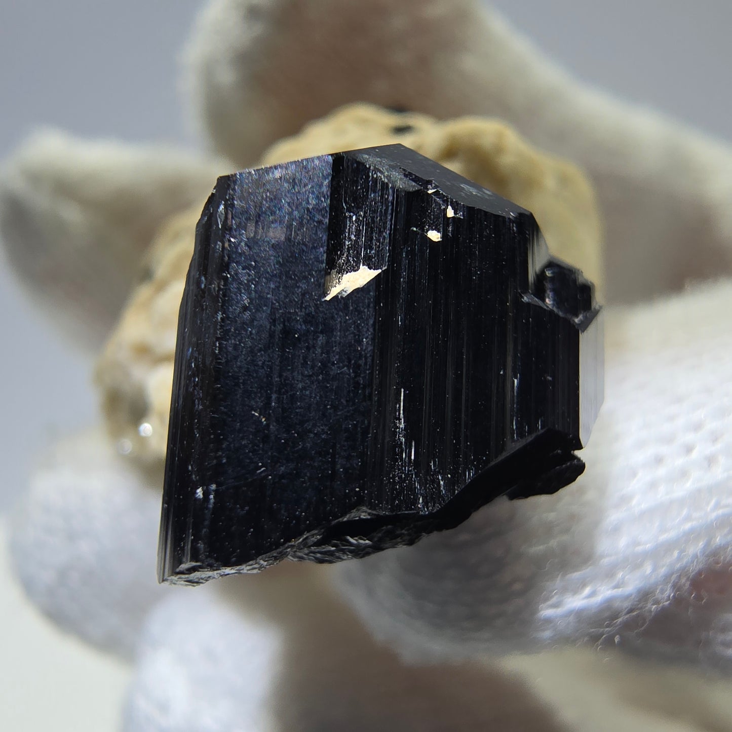 Tourmaline Schorl rare sur amas d'orthose à Erongo, Namibie
