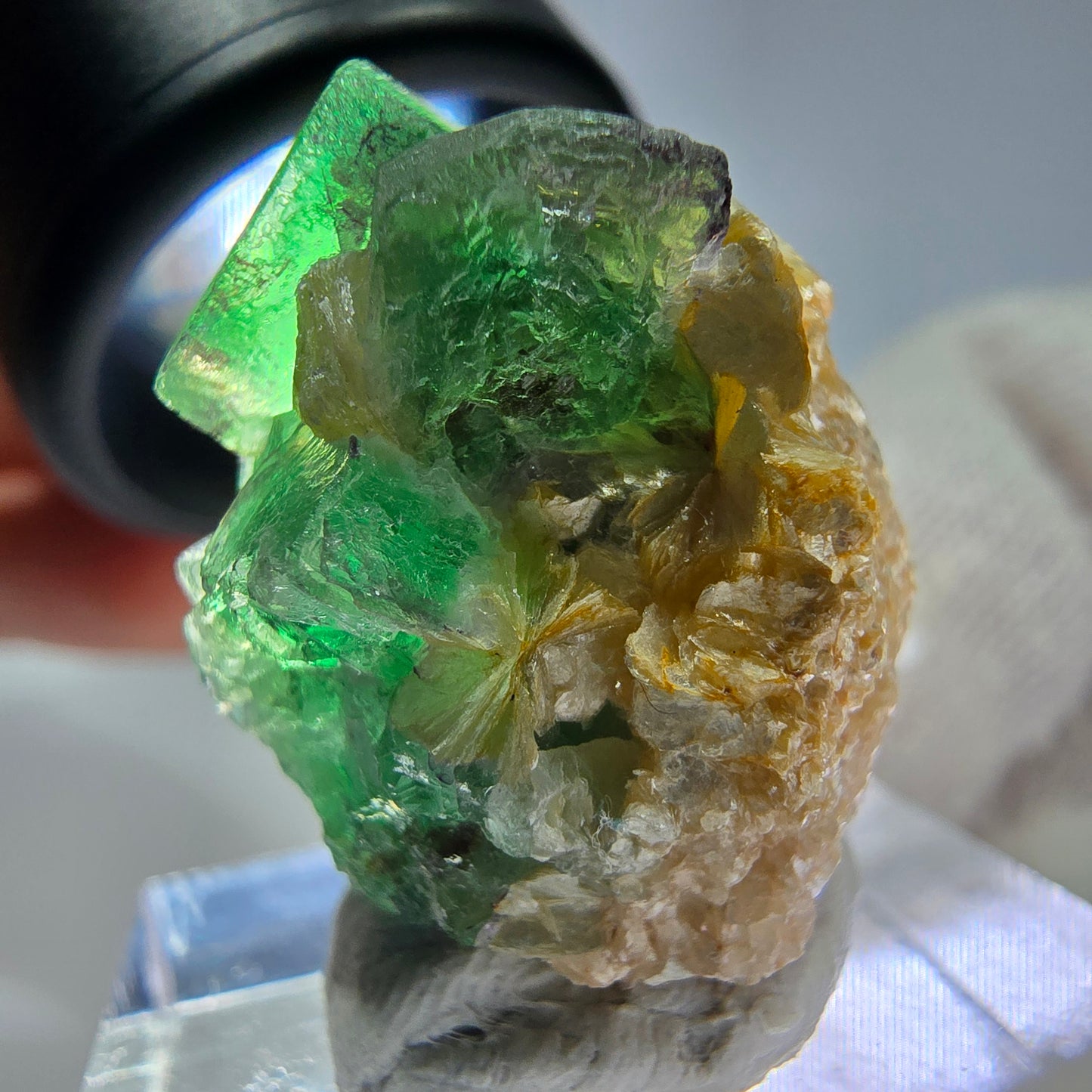 Cube de fluorite fantôme, spécimen de muscovite, Erongo, Namibie, 27 x 25 x 19 mm