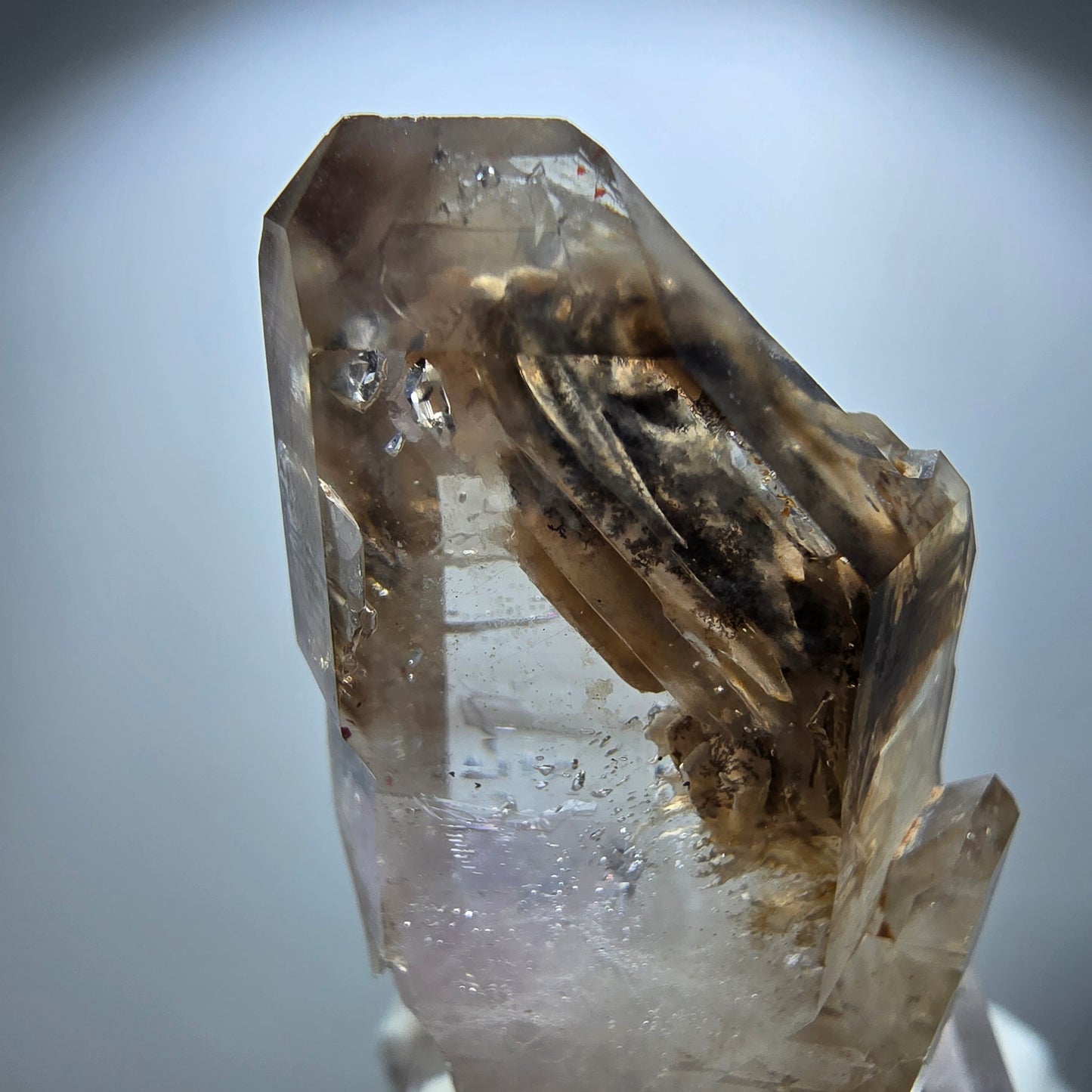Phantom Rauchquarz Skelett Zepter Stufe Goboboseb, Namibia 45*28*15mm