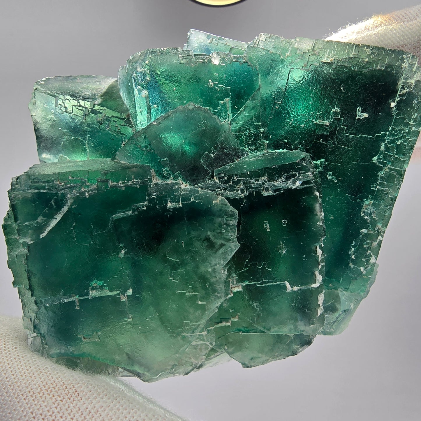 Große Phantom Fluorit Würfel Stufe grün parkettiert Okorusu, Namibia 81*68*35mm