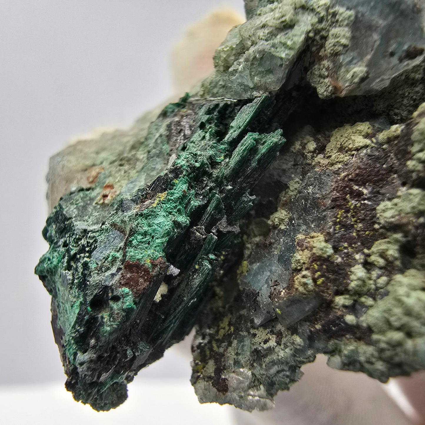 Spécimen rare de malachite, chrysocolle sur quartz Kaokoveld, Namibie 56*45*18mm