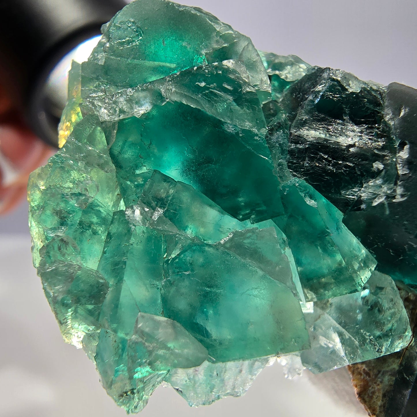 Rare spécimen de cube de fluorite fantôme, parqueté vert Okorusu, Namibie, 55 x 34 x 17 mm