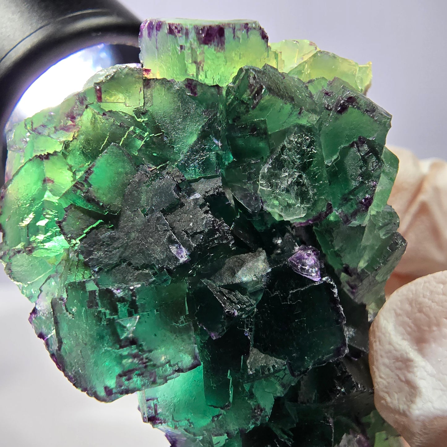 Spécimen de cube de fluorite fantôme, parqueté, zonal Okorusu, Namibie 51*34*28mm