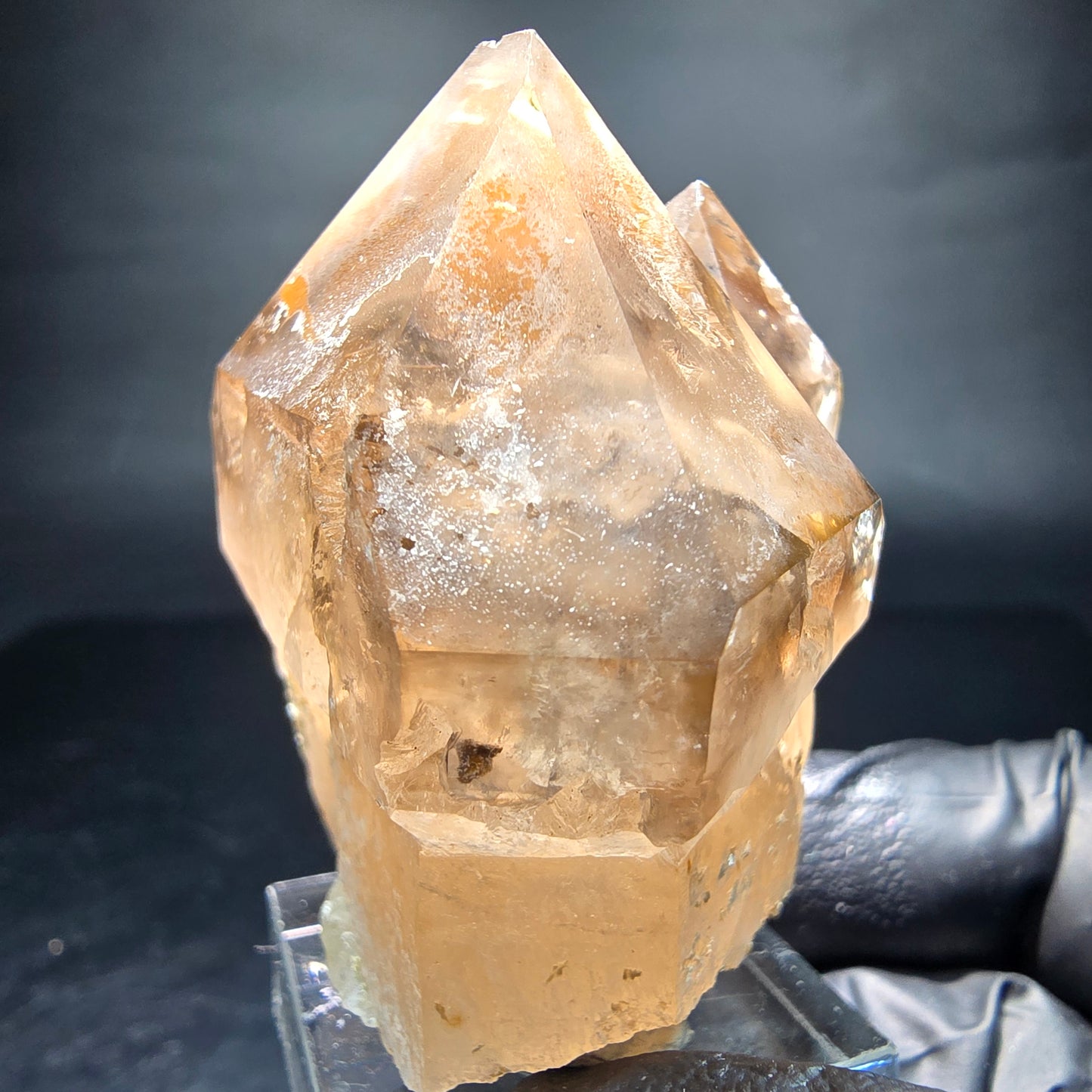 Klare Phantom Rauchquarz Zepter Spitze Erongo, Namibia 51*44*33mm Sammlung