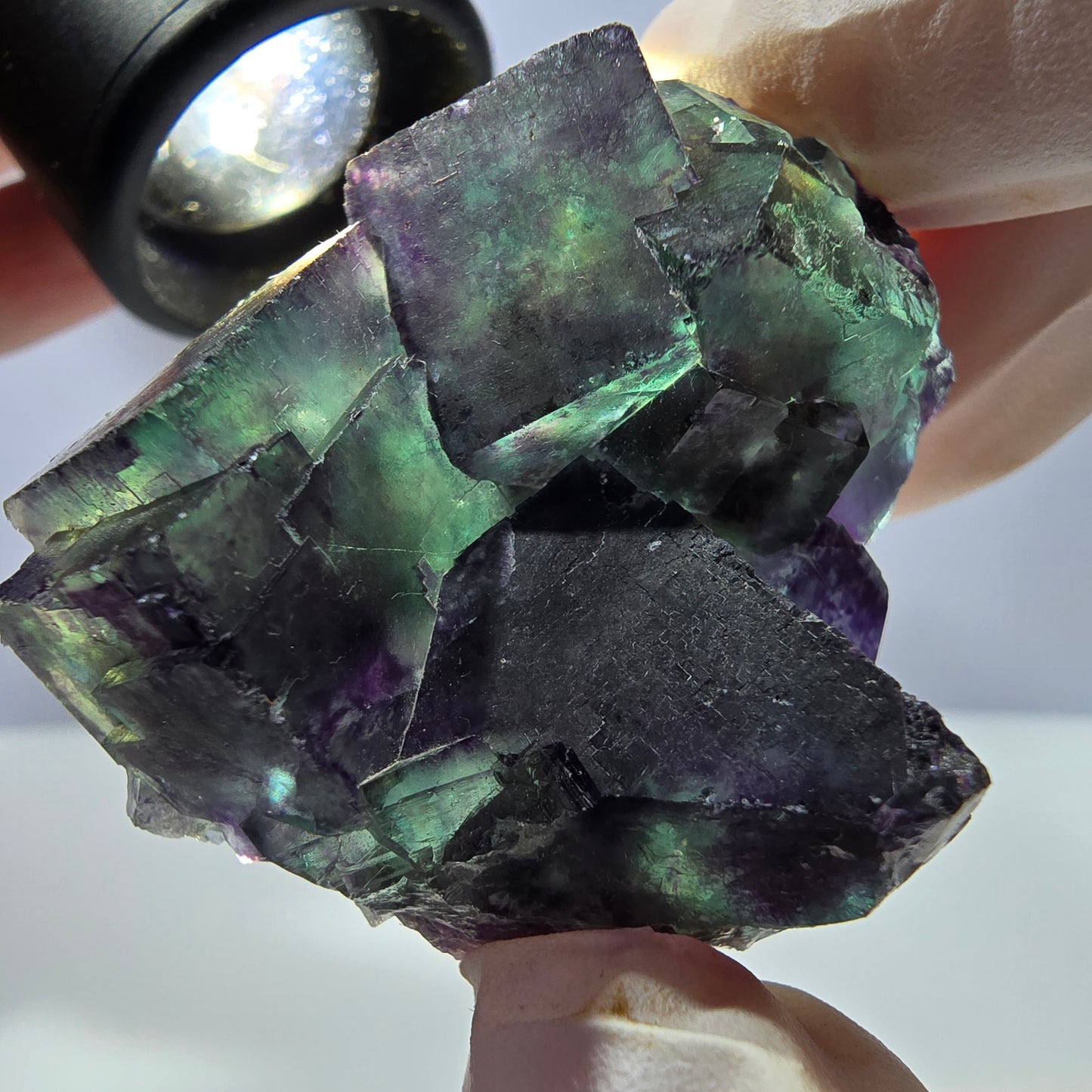 Spécimen de cube de fluorite fantôme parqueté vert violet Okorusu, Namibie 47*36*22mm