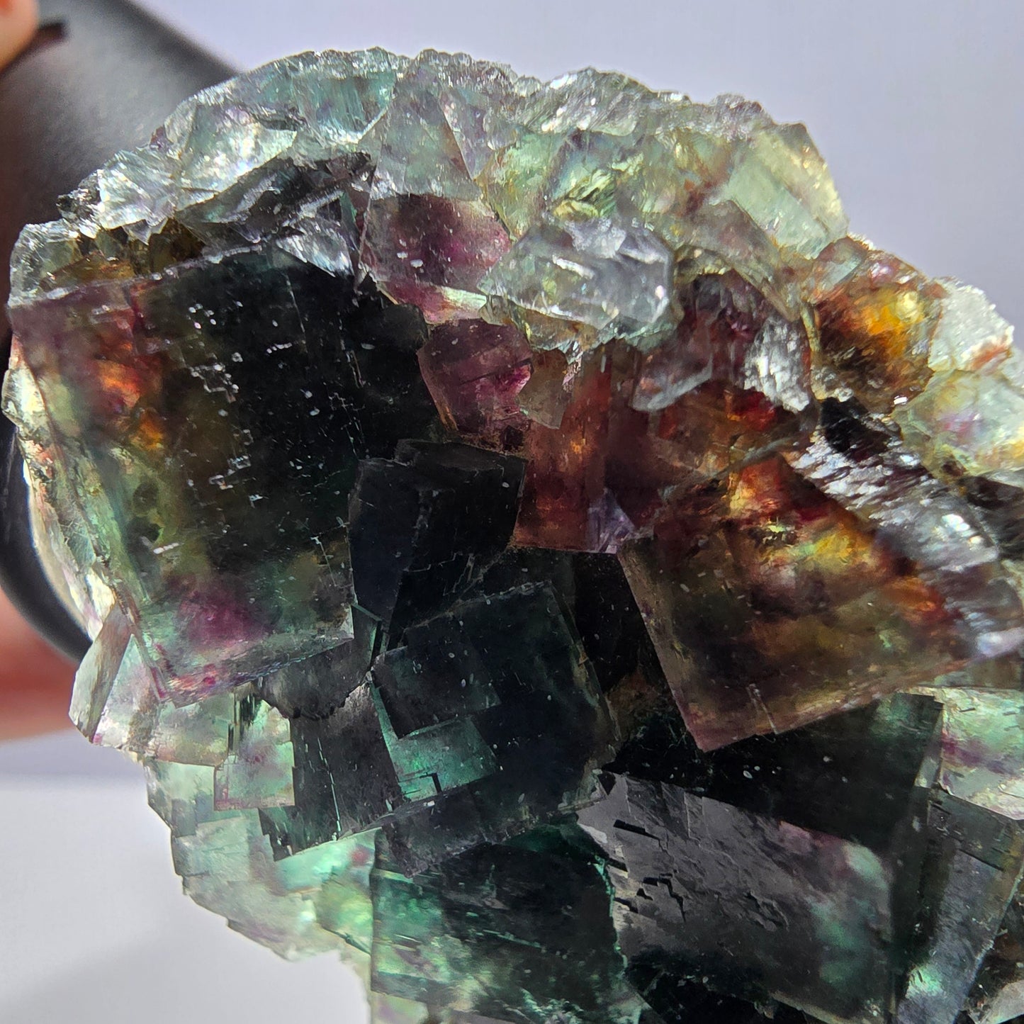 Rare spécimen de cube de fluorite fantôme, vert violet Okorusu Namibie 80*43*17 mm