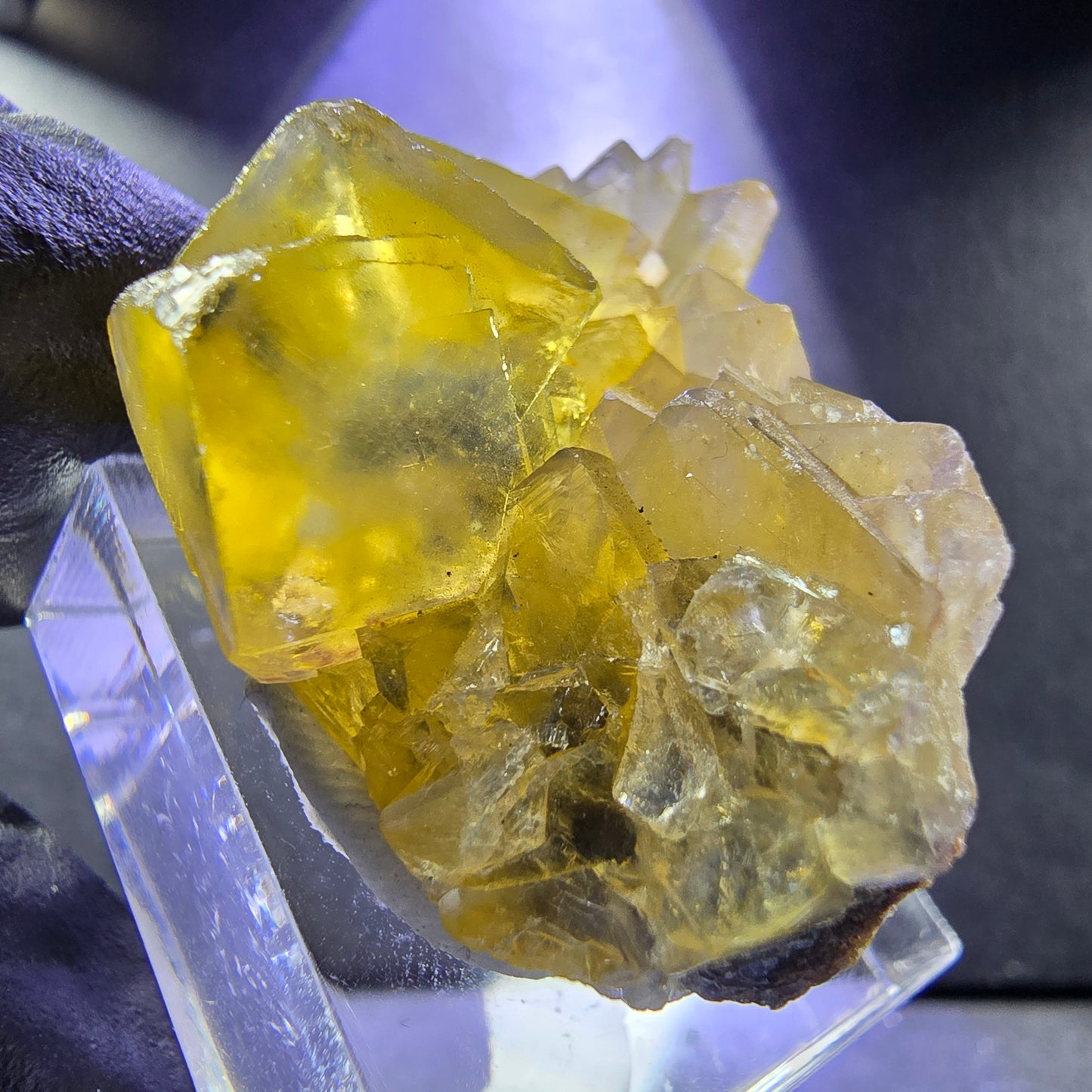 Seltene Honey Pocket Phantom Fluorit XX Würfel Stufe 31*20*19mm Okorusu, Namibia