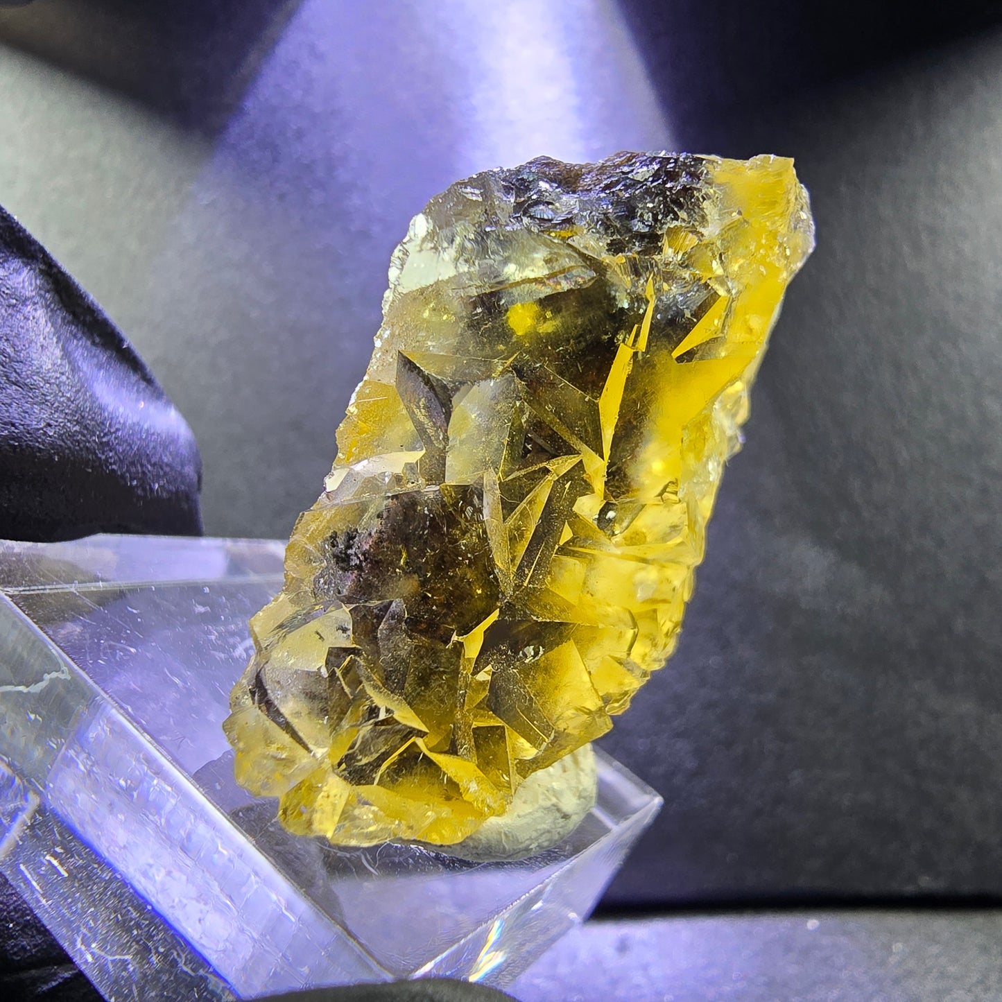 Seltene Honey Pocket Phantom Fluorit XX Würfel Stufe 30*28*14mm Okorusu, Namibia