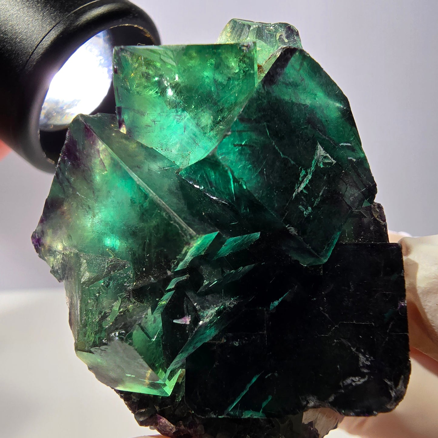 Spécimen de cube de fluorite fantôme, parqueté vert violet Okorusu, Namibie 54*40*27 mm