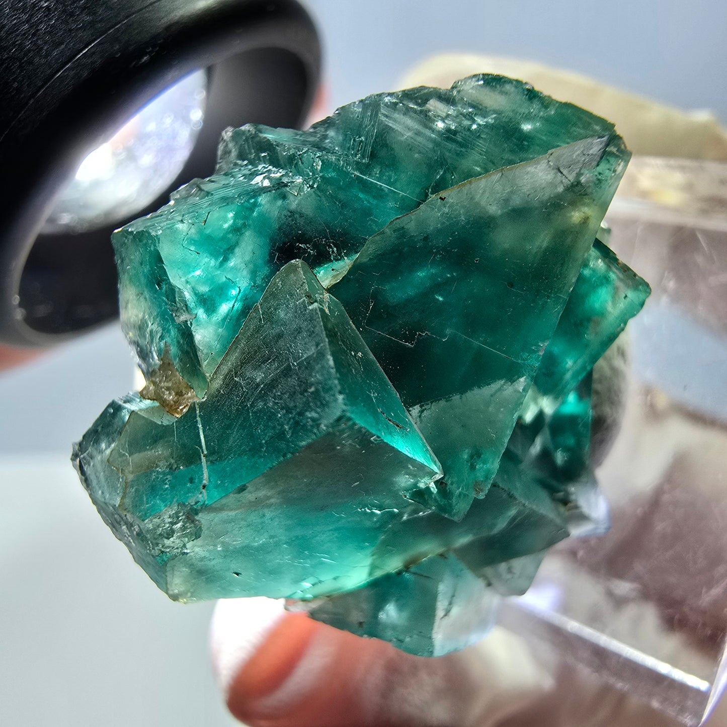 Spécimen de cube de fluorite fantôme, parquet vert Okorusu, Namibie 29*25*15 mm