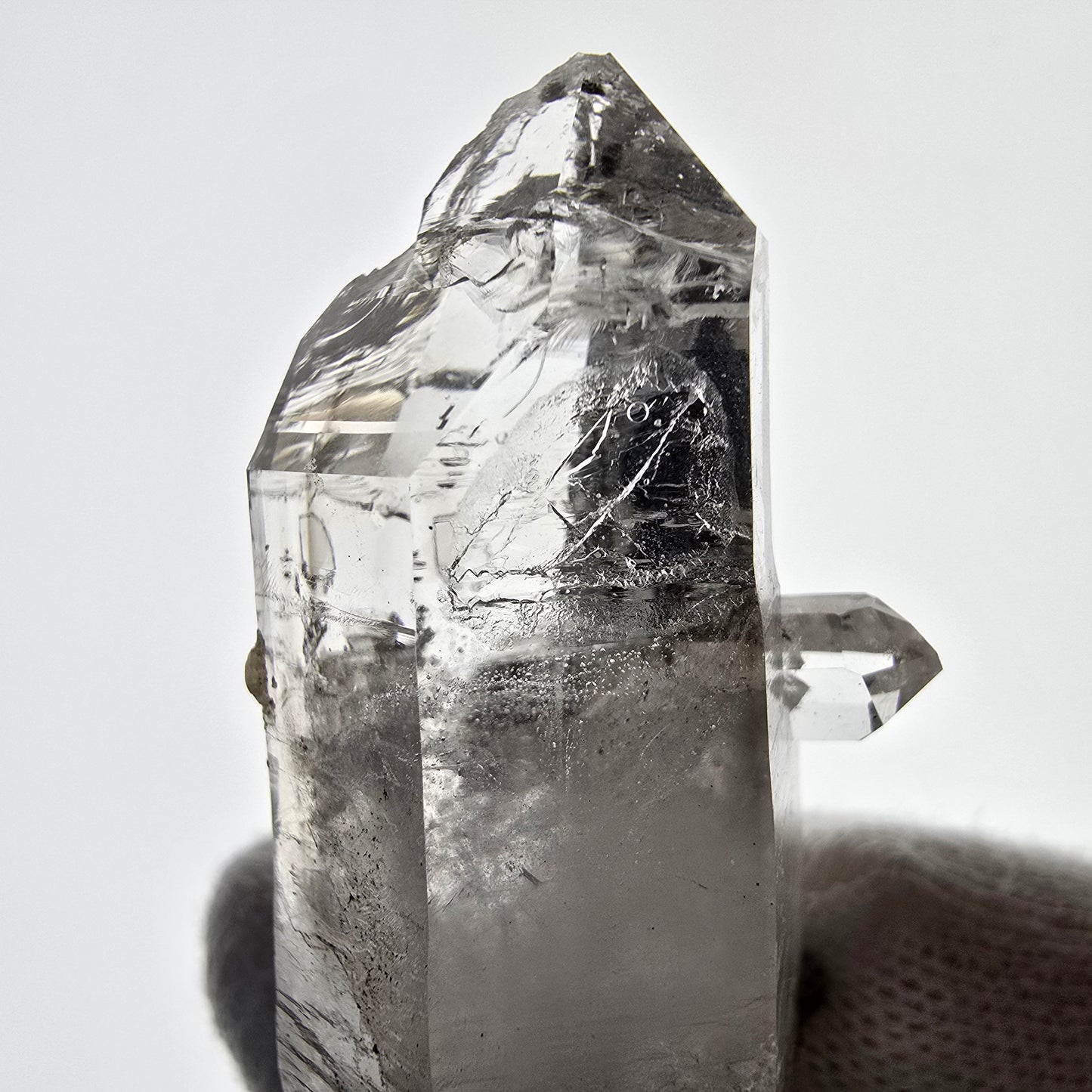 Sceptre DT en quartz fumé squelette Enhydro, 1x pochette Saint-Valentin à bulles, Namibie 60 x 23 x 21 mm