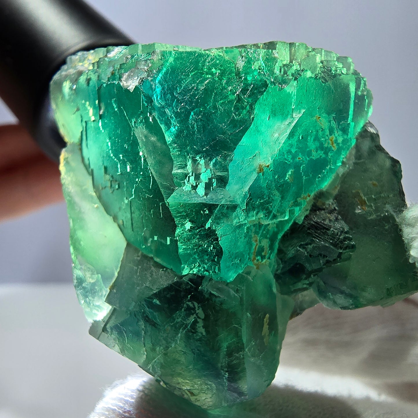 Rare spécimen de cube de fluorite fantôme, parqueté vert Okorusu, Namibie, 52 x 41 x 31 mm