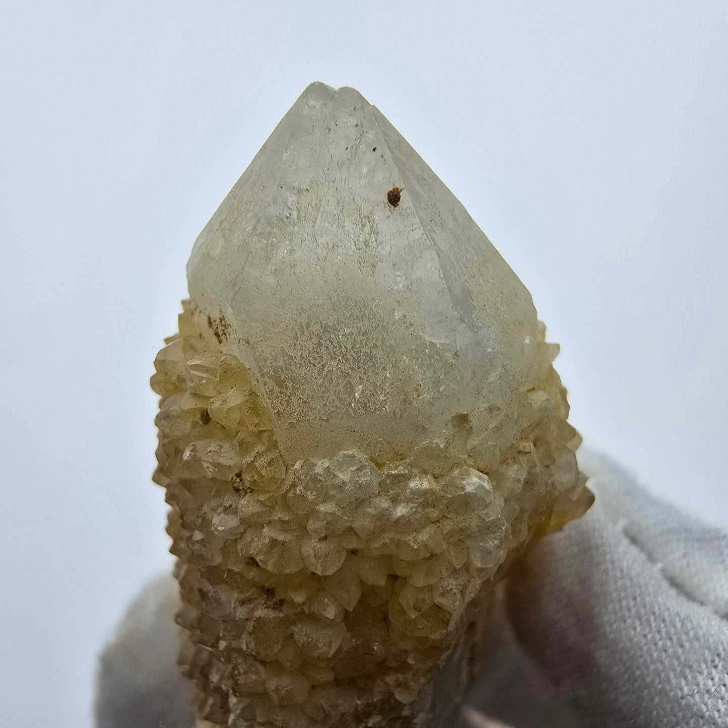 Kaktusquarz, Spirit Quarz XX Stufe Boekenhouthoek, Südafrika 49*29*23mm Sammlung