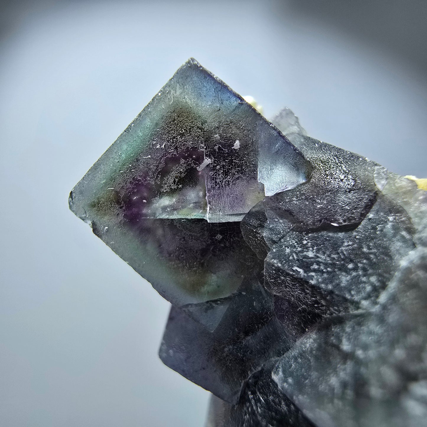 Spécimen de cube de fluorite fantôme coloré, vert violet jaune, Erongo, Namibie 29 x 20 x 14 mm