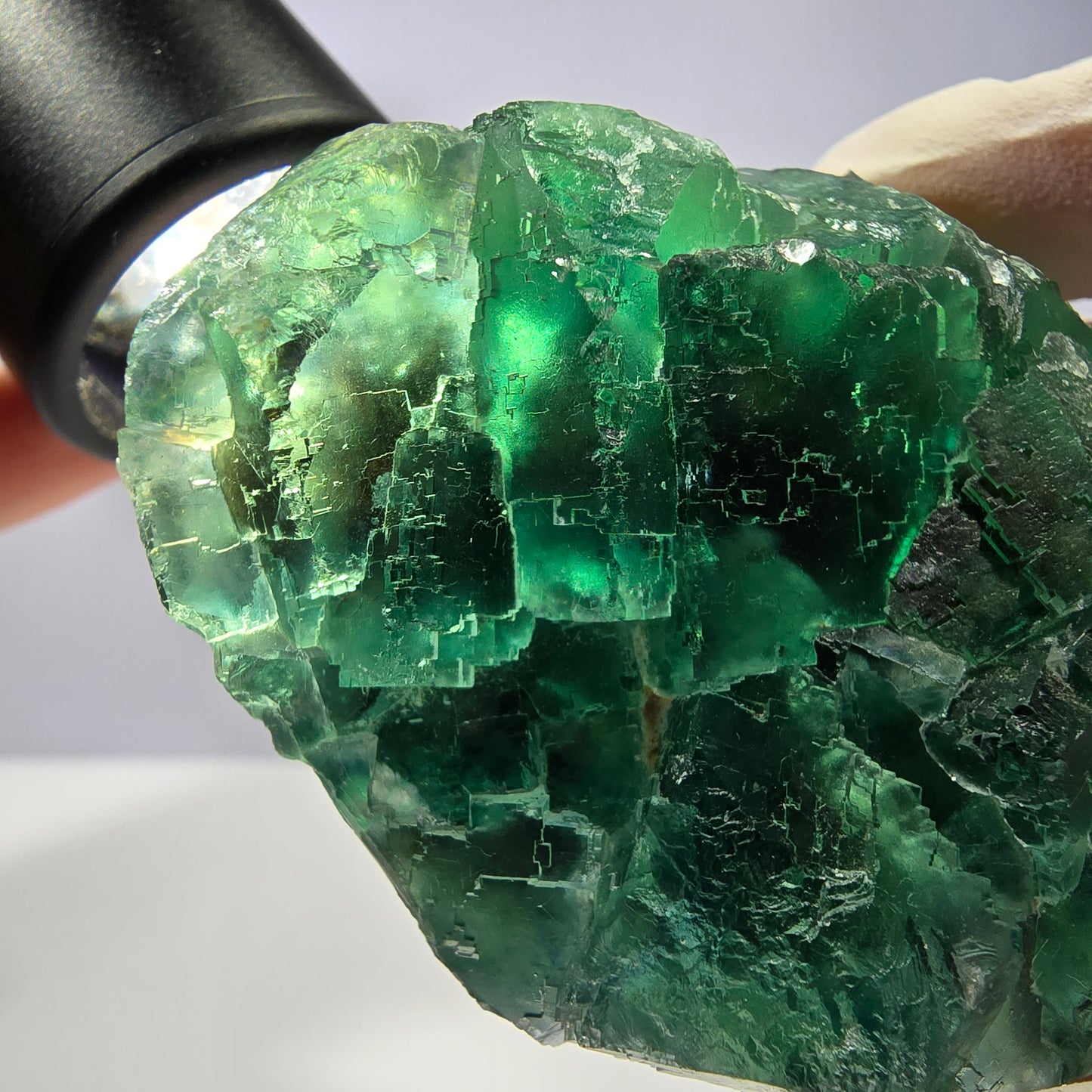 Spécimen de cube de fluorite fantôme transparente, vert parqueté, Okorusu, Namibie, 77 x 54 x 38 mm