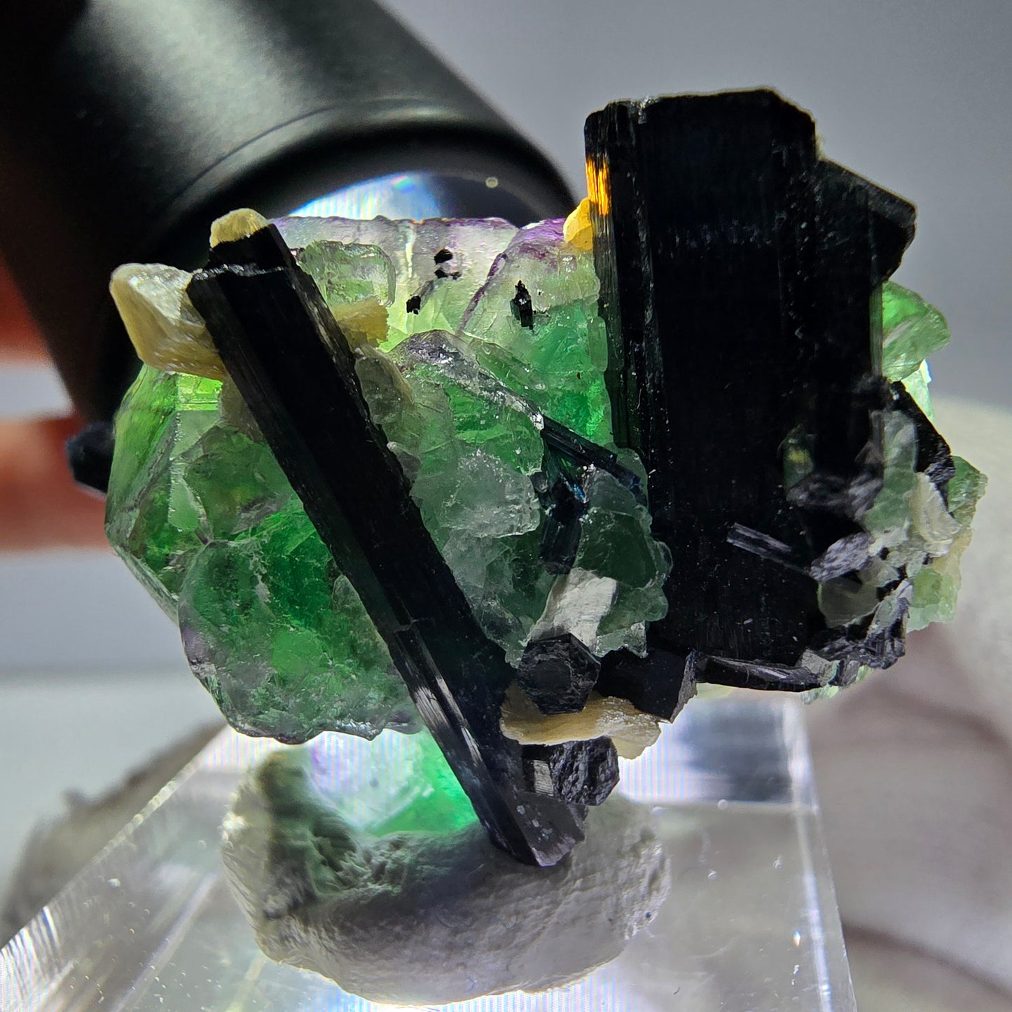 Cube de fluorite fantôme zonal, tourmaline muscovite Schorl Erongo Namibie 36 x 22 x 19 mm