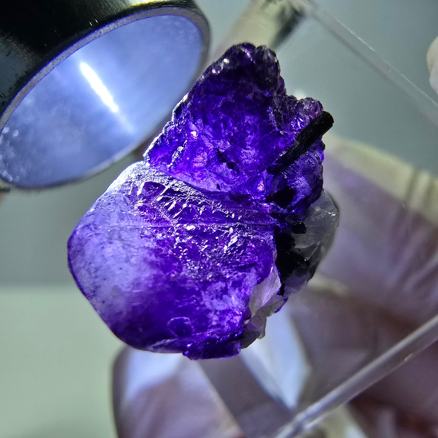 Fluorite fantôme, Moscovite, Schörl Tourmaline Erongo, Namibie 20*13*12mm