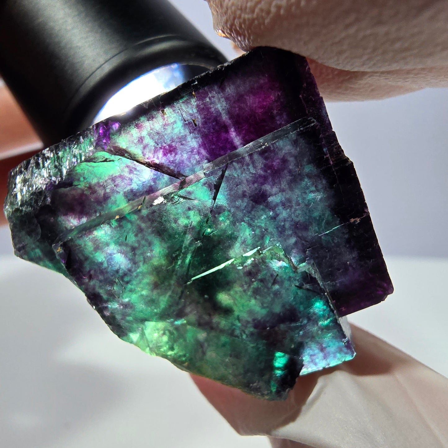 Spécimen de cube de fluorite fantôme, parqueté vert violet Okorusu, Namibie 31*30*20 mm