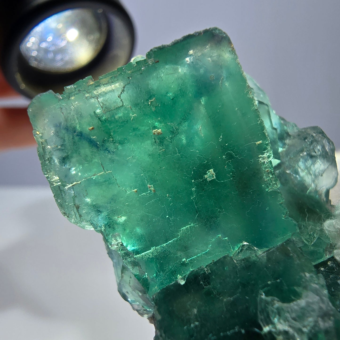Rare spécimen de cube de fluorite fantôme, parqueté vert Okorusu, Namibie, 50 x 34 x 23 mm