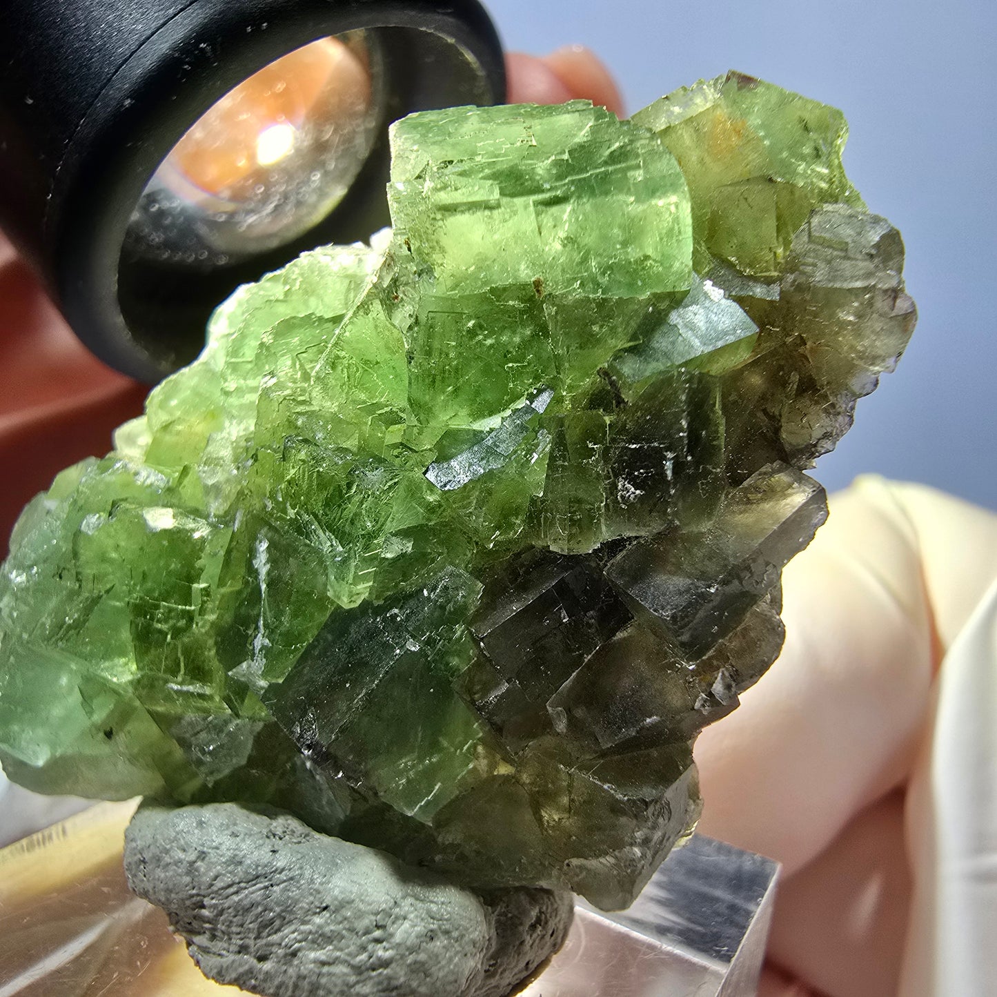 Rare spécimen de cube de fluorite fantôme, vert Okorusu, Namibie 45 x 33 x 17 mm