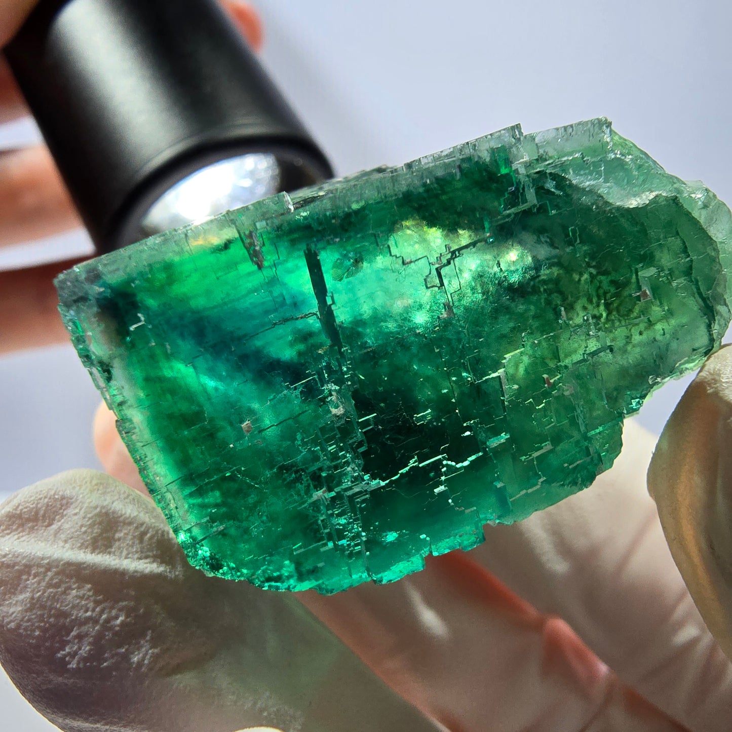 Spécimen de cube de fluorite fantôme transparente, vert parqueté, Okorusu, Namibie, 50 x 30 x 22 mm
