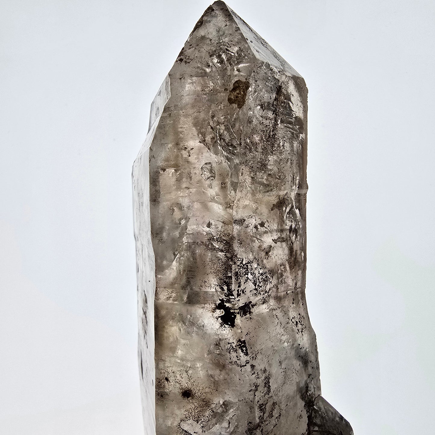 Sceptre XL Enhydro Skeleton Smoky Quartz DT, 4x Bubble Valentine Pocket, Namibie 233 x 54 x 47 mm
