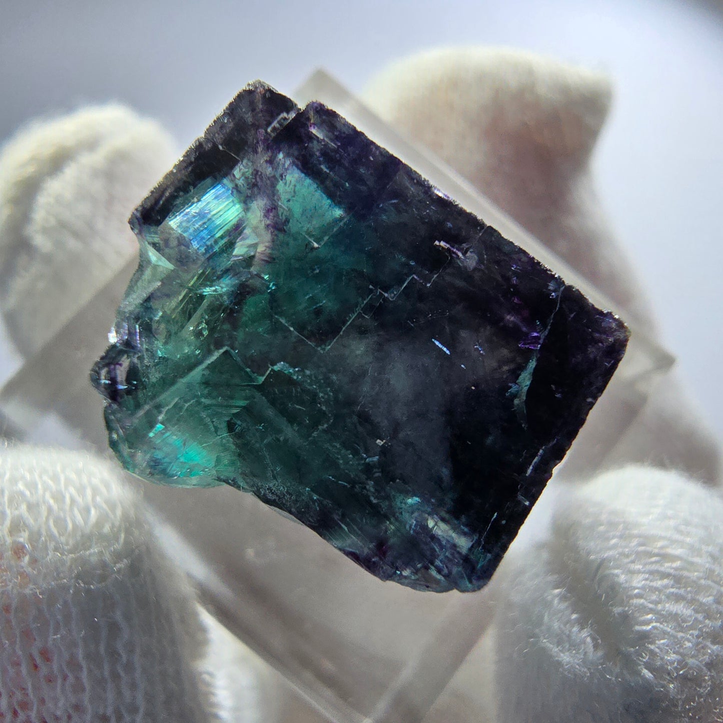 Spécimen rare de cube de fluorite fantôme, vert zonal et violet, Okorusu, Namibie, 23 x 18 x 14 mm