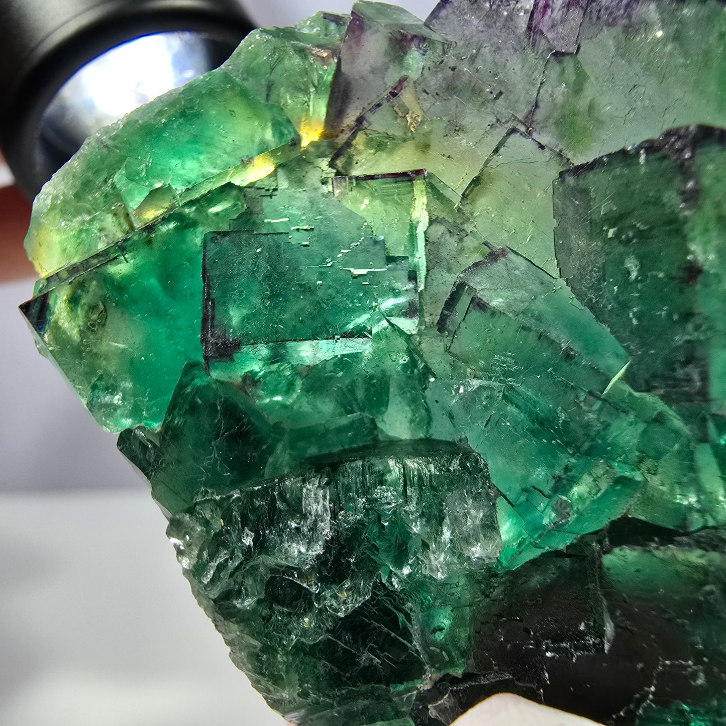 Spécimen de cube de fluorite fantôme, parqueté vert violet Okorusu, Namibie 55*41*16 mm