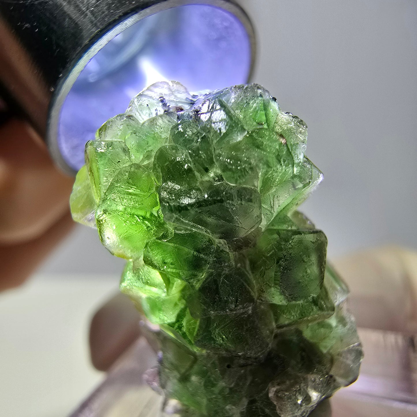 Cube de fluorite fantôme, zonal, spécimen de tourmaline Schorl, Erongo, Namibie, 23 x 15 x 14 mm