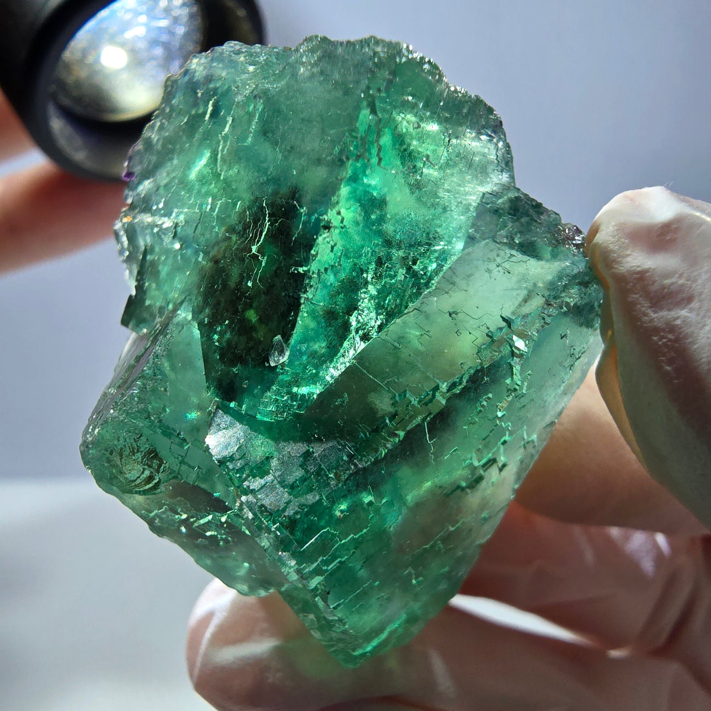 Klare Phantom Fluorit Würfel Stufe, parkettiert grün Okorusu, Namibia 43*33*25mm