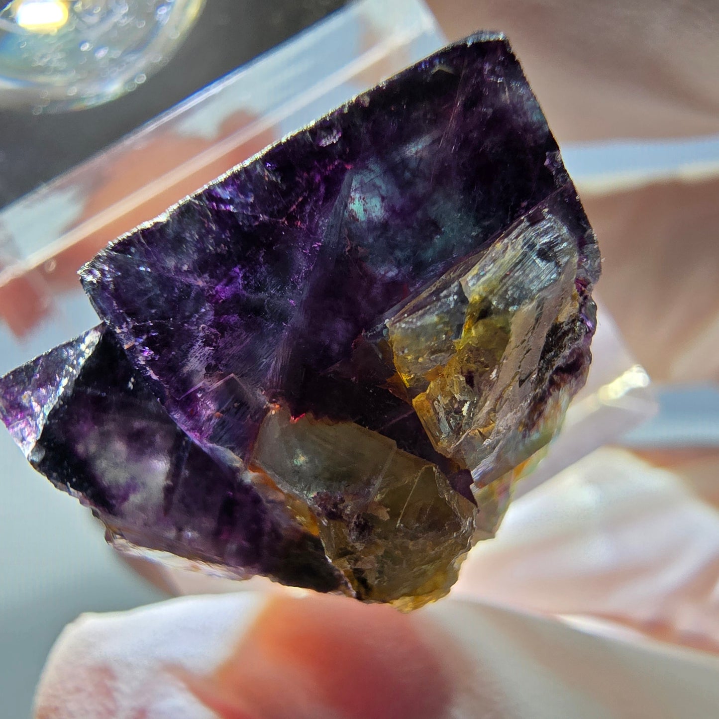 Spécimen de cube de fluorite fantôme, parqueté vert violet Okorusu, Namibie 22*20*17 mm