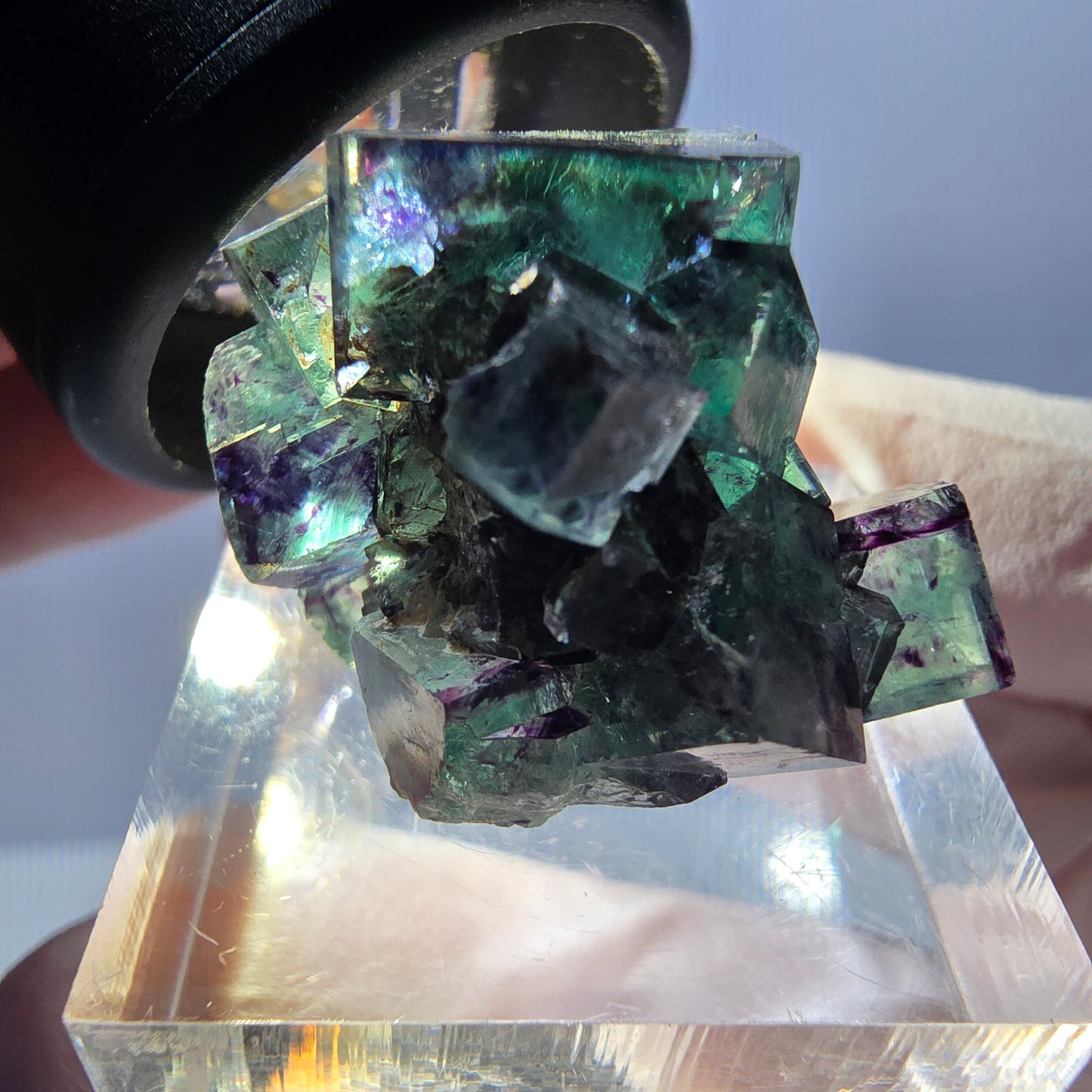 Spécimen de cube de fluorite fantôme, parqueté vert violet Okorusu, Namibie 27*21*19 mm