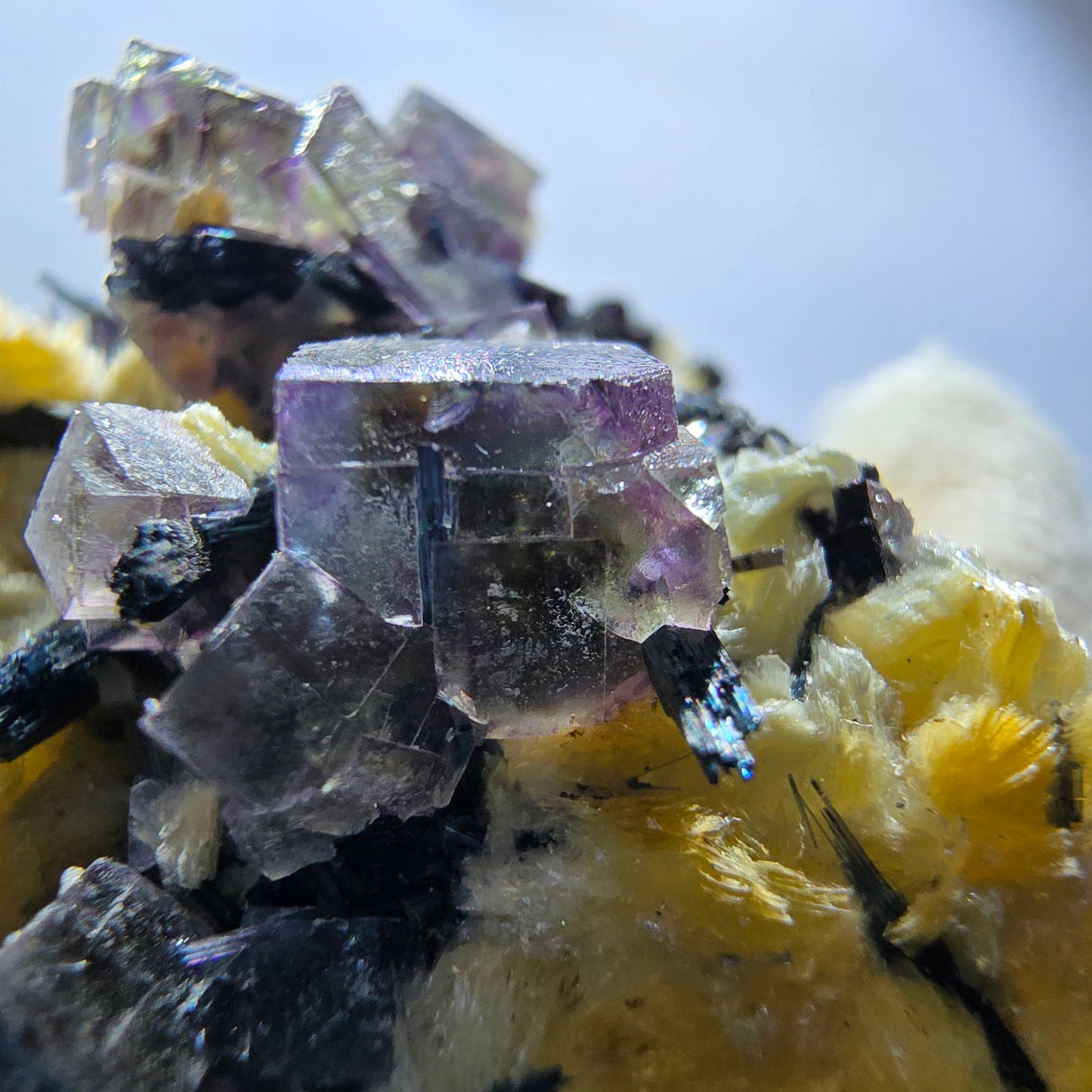 Cubes de fluorite fantôme colorés, tourmaline scholle muscovite, Erongo, Namibie, 61 x 60 x 29 mm