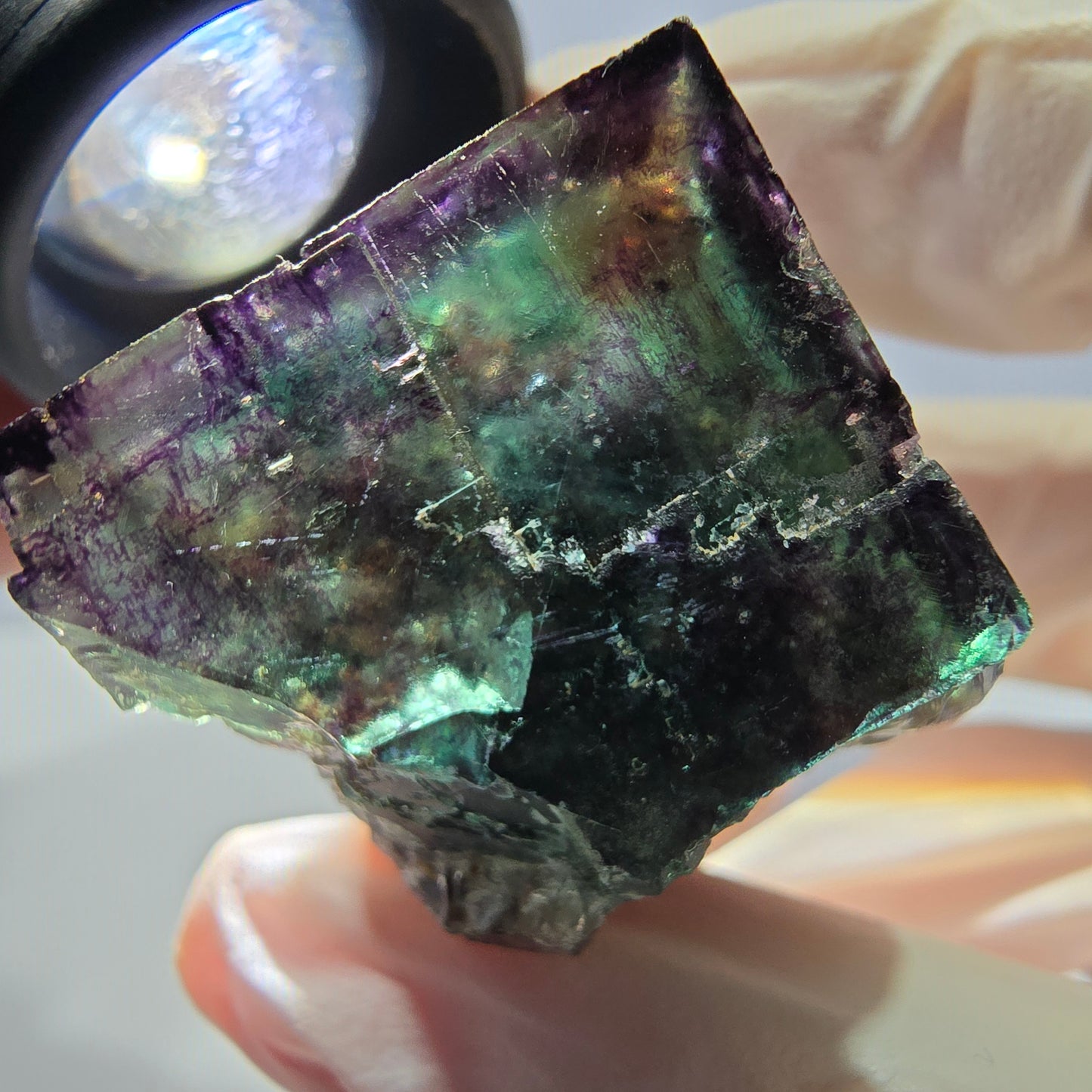 Phantom Fluorit Würfel Stufe, parkettiert grün lila Okorusu, Namibia 28*26*25mm