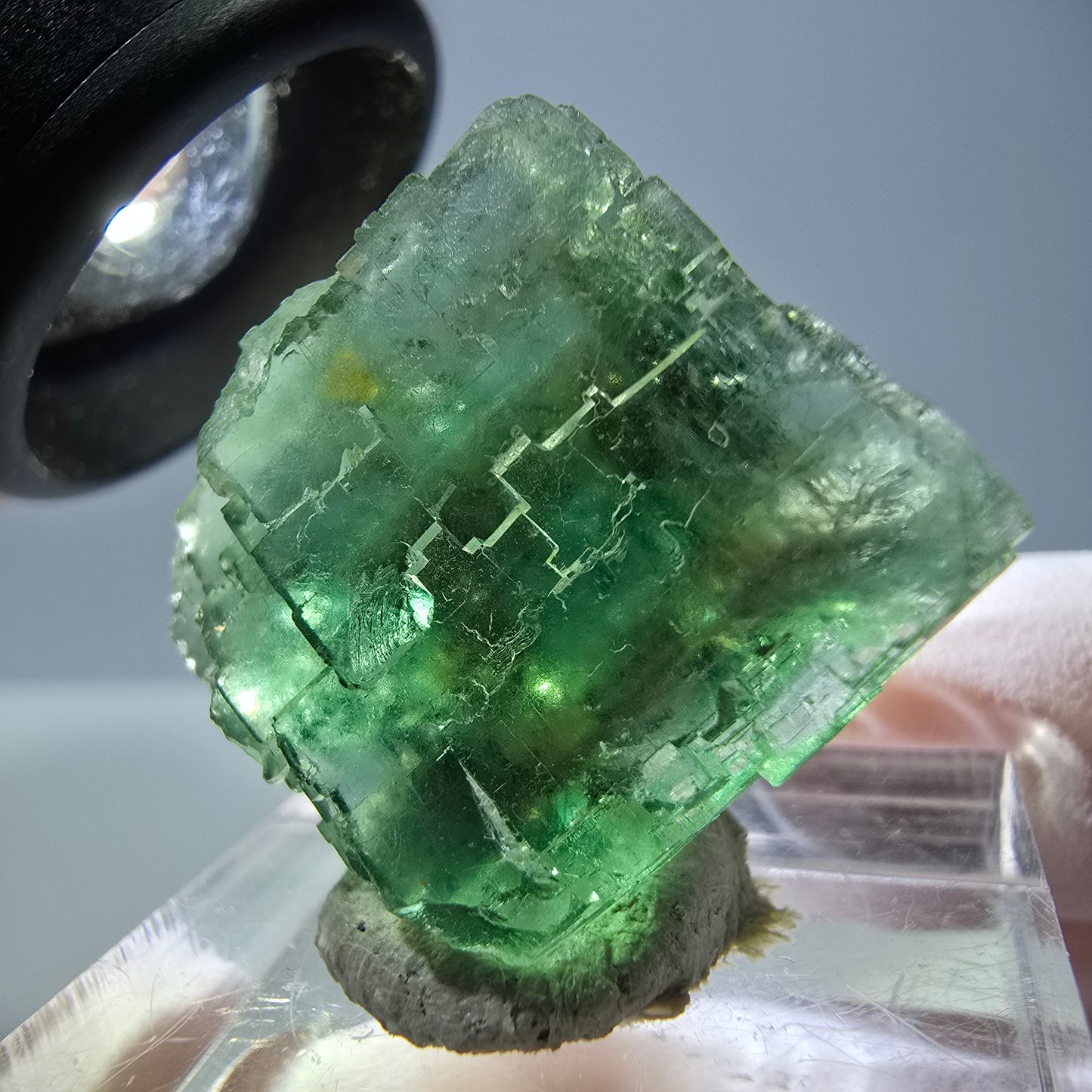 Cube de fluorite fantôme transparente parquetée, vert Okorusu, Namibie 23 x 21 x 15 mm