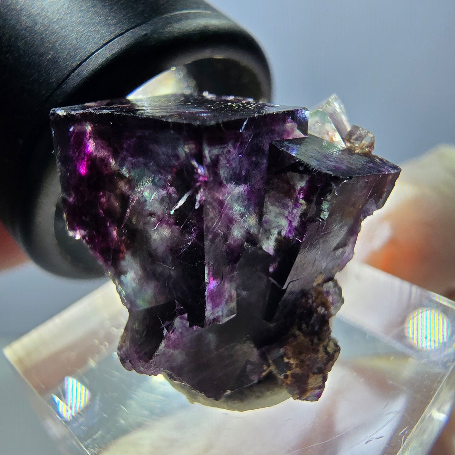 Spécimen de cube de fluorite fantôme, parqueté vert violet Okorusu, Namibie 20 x 20 x 16 mm